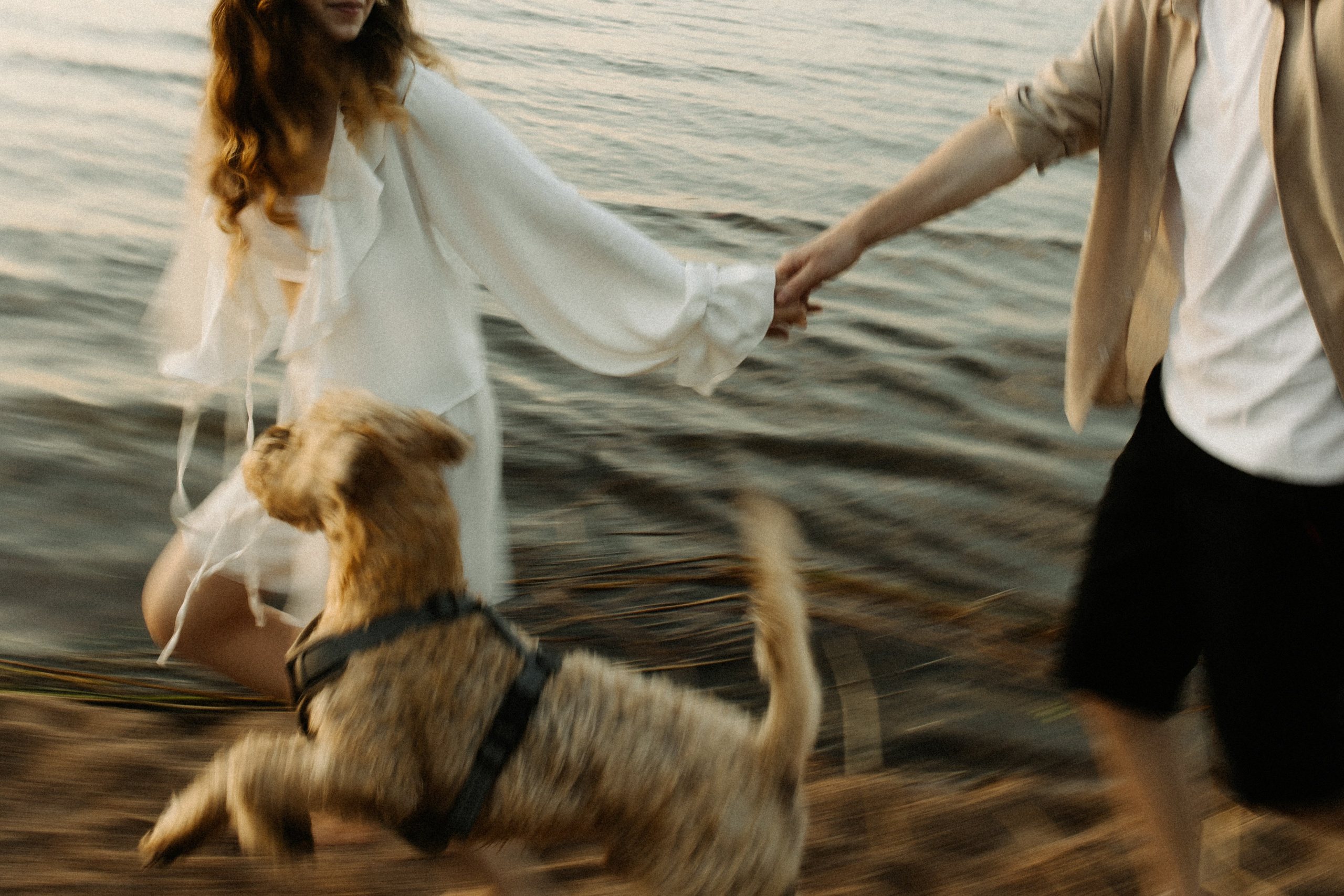 Аня, Влад и Джек. Фотограф в Санкт-Петербурге
