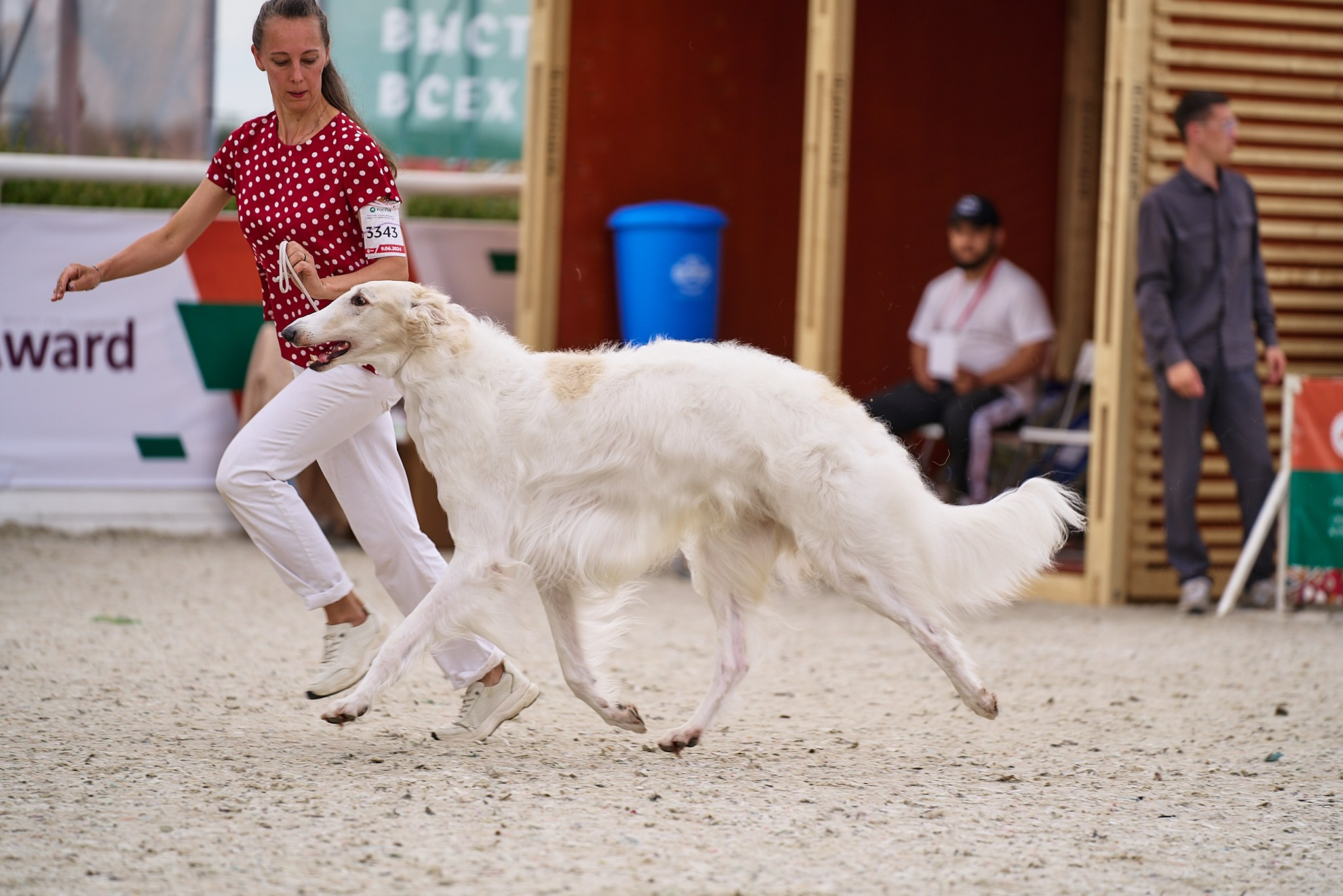 09.06.2024, «РОССИЯ. КУБОК МОСКВЫ 2024 & КУБОК ГОРОДОВ-ГЕРОЕВ»