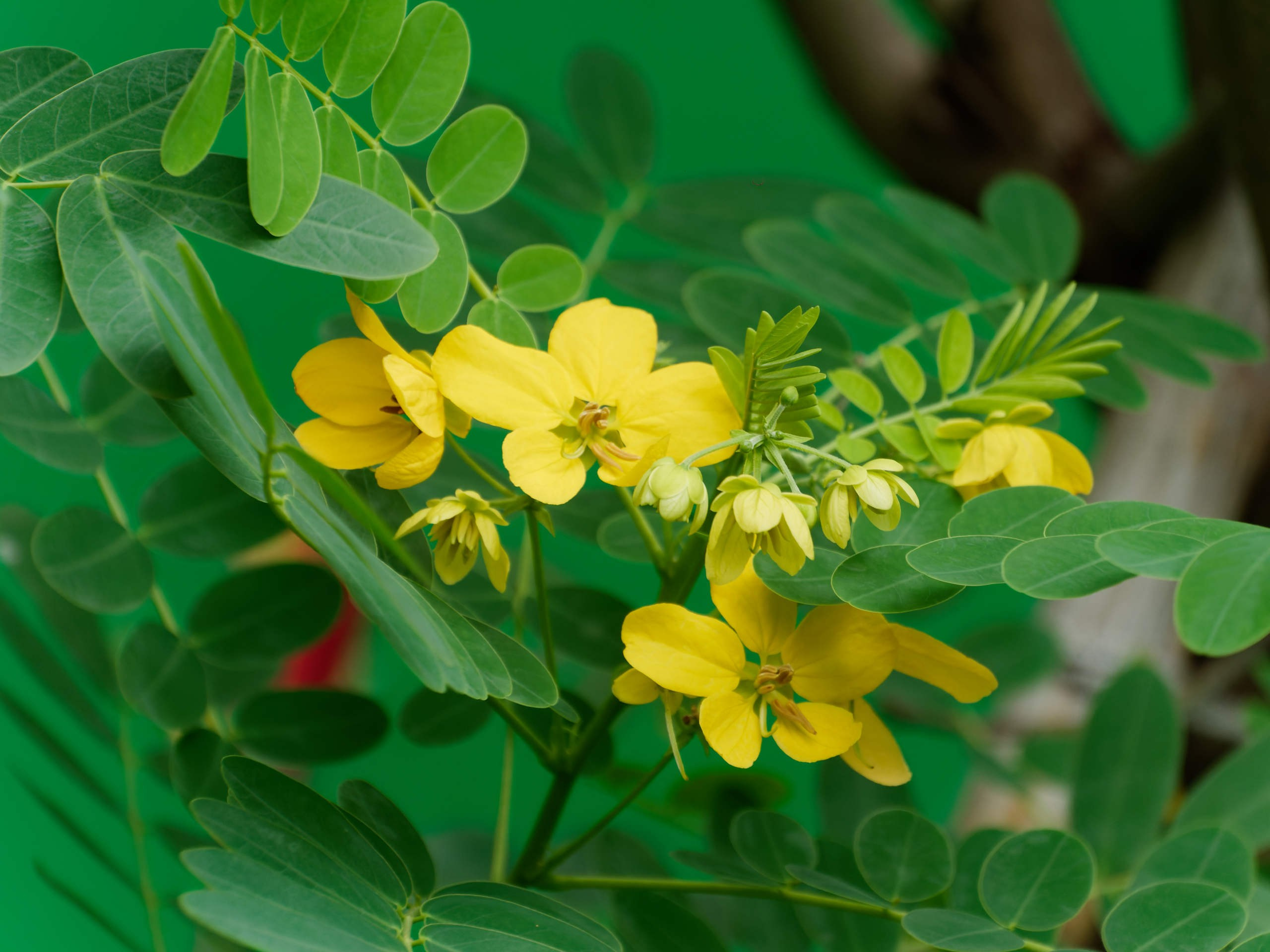 Нячанг 2025 (4). Избранные фотографии