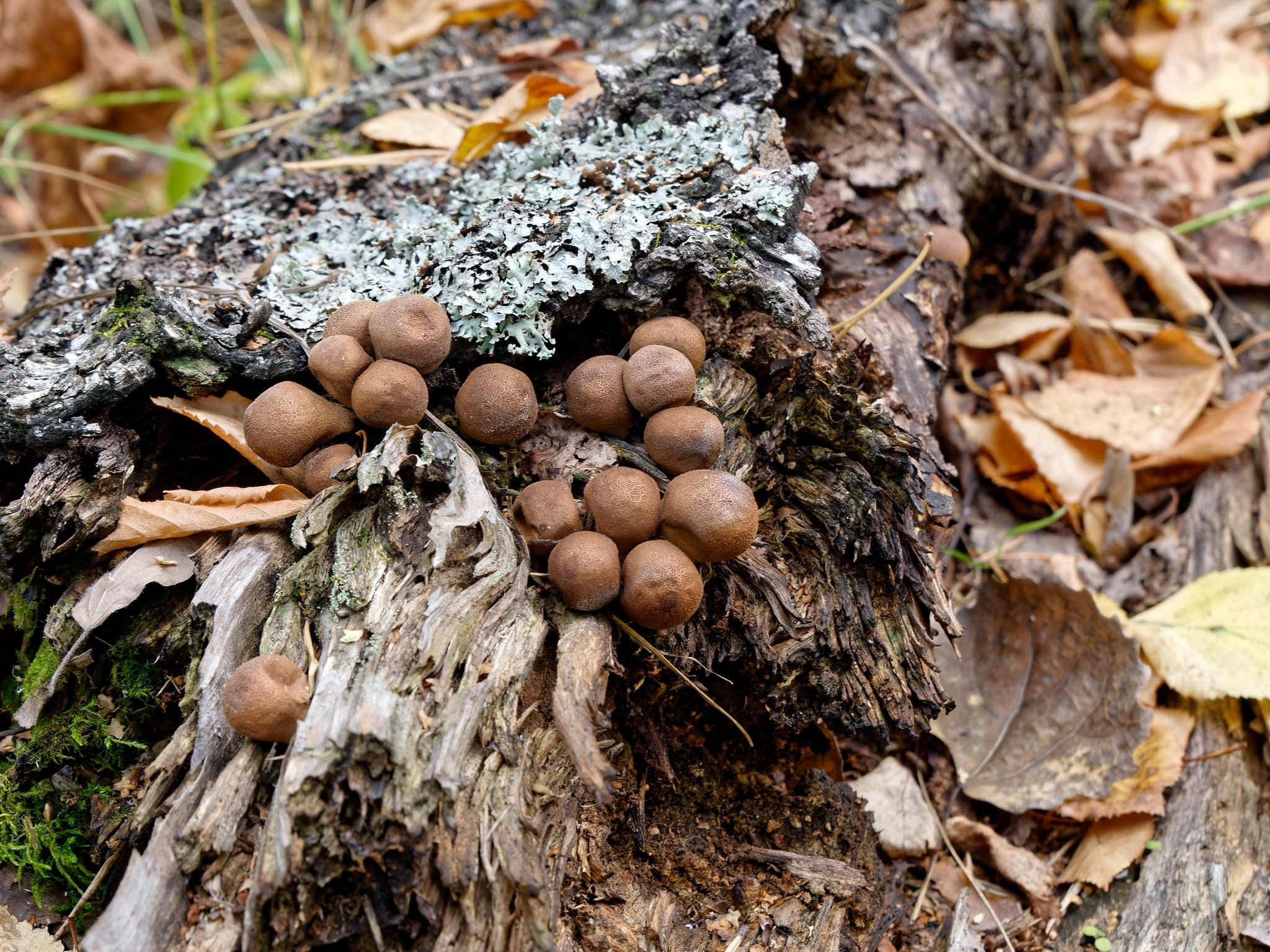 Боровое 2023 (из архива). Избранные фотографии