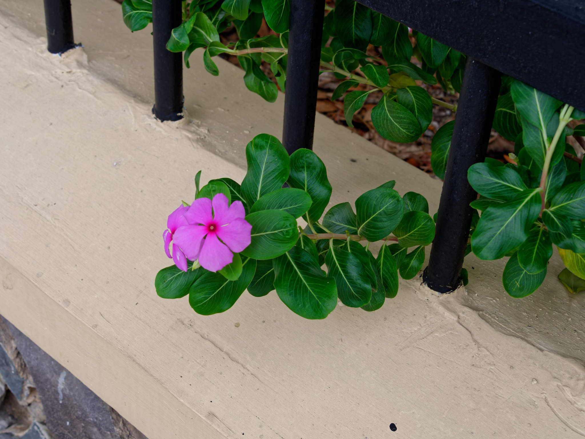 Нячанг 2023. Избранные фотографии