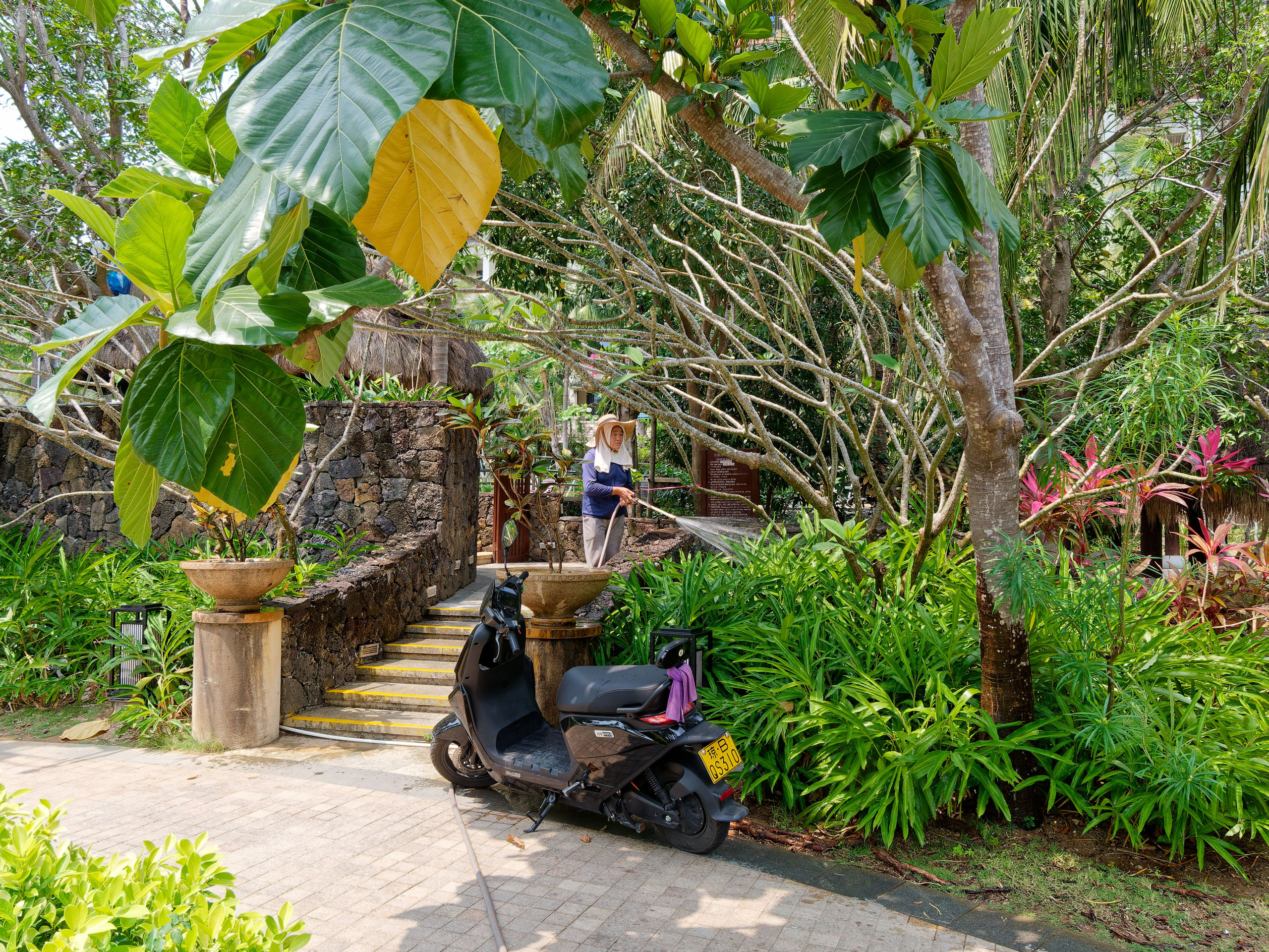 Хайнань 2026, первые впечатления. Фотопрогулки по Миру