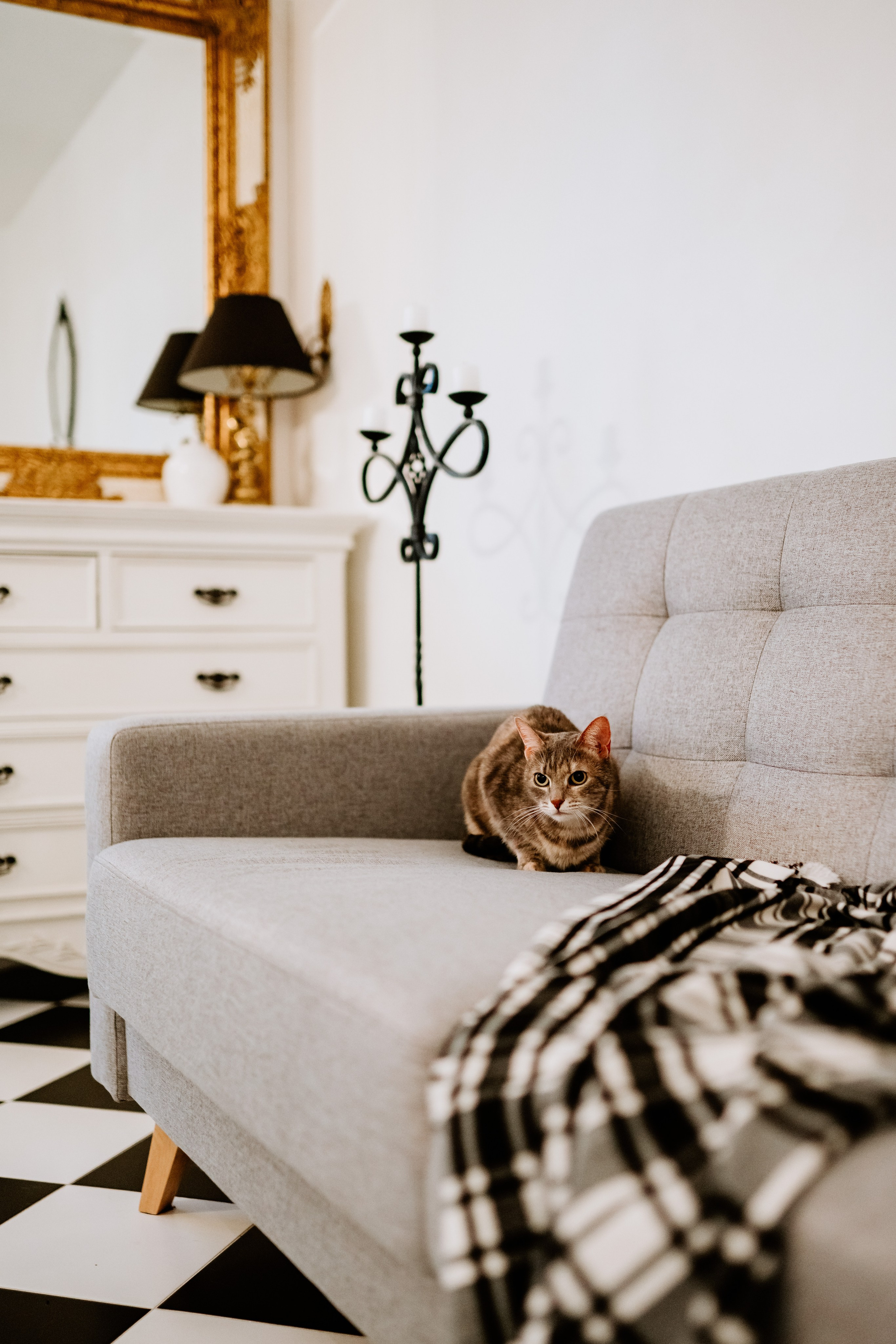 Натали и Иззи. Фотограф анималист в Спб недорого Олеся Майорова