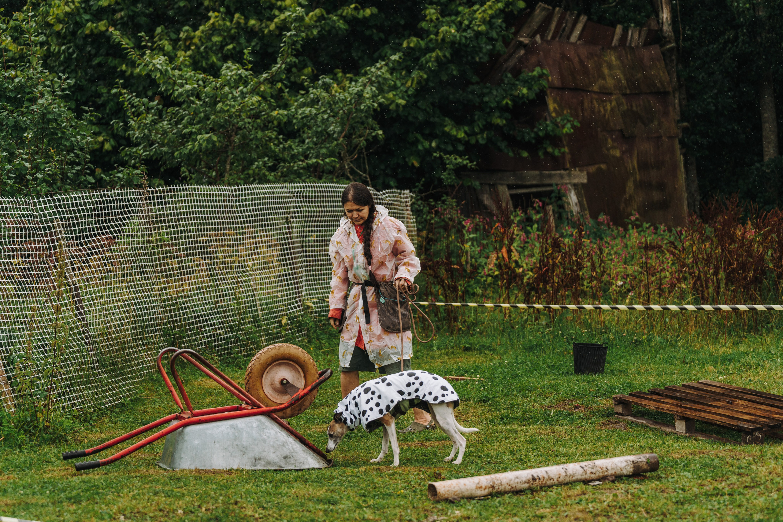 Соревнования по ноузворку в Новожилово. Фотограф анималист в Спб недорого Олеся Майорова