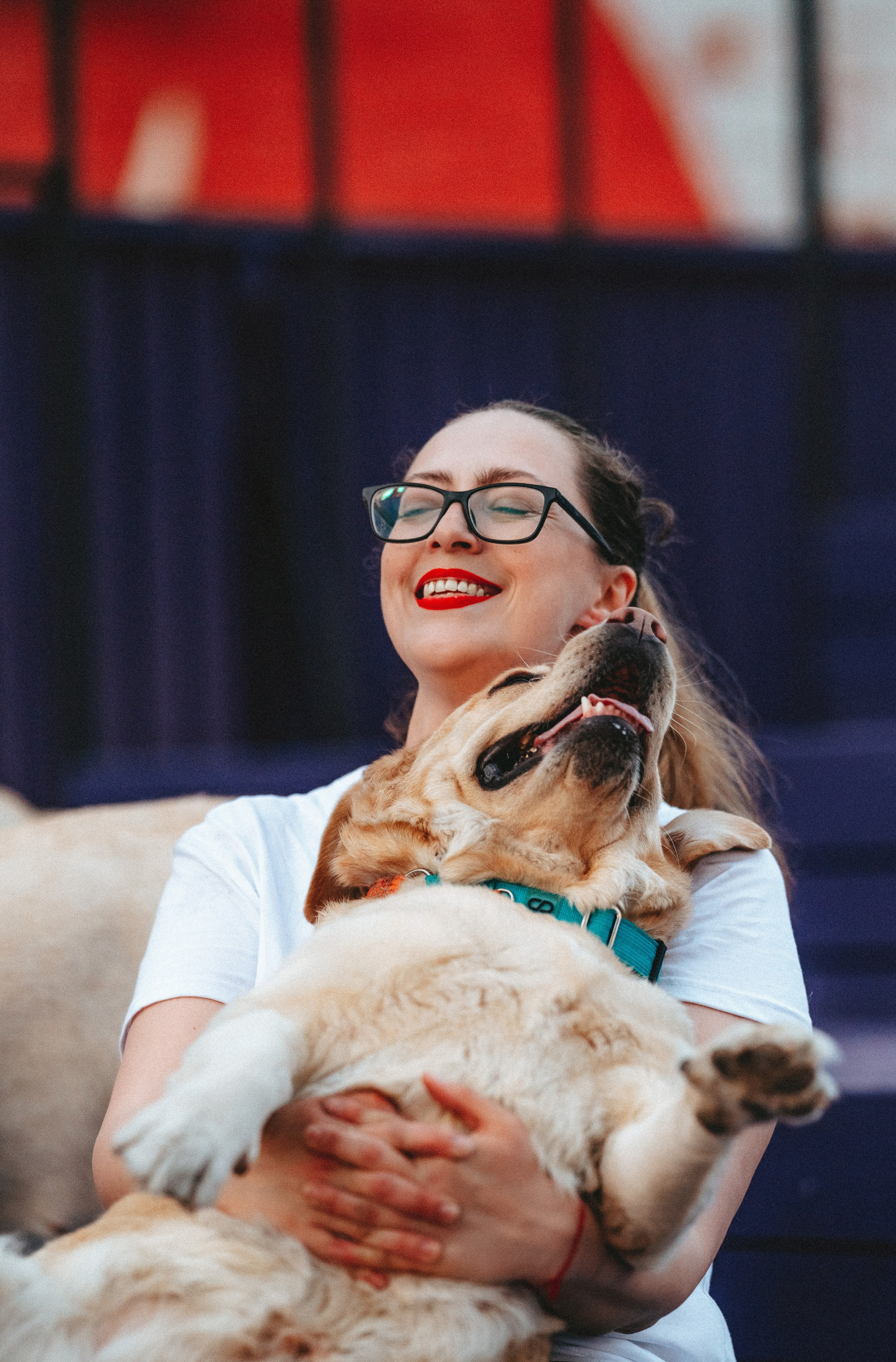 Фотосъёмка с вашими питомцами. Фотограф анималист в Спб недорого Олеся Майорова