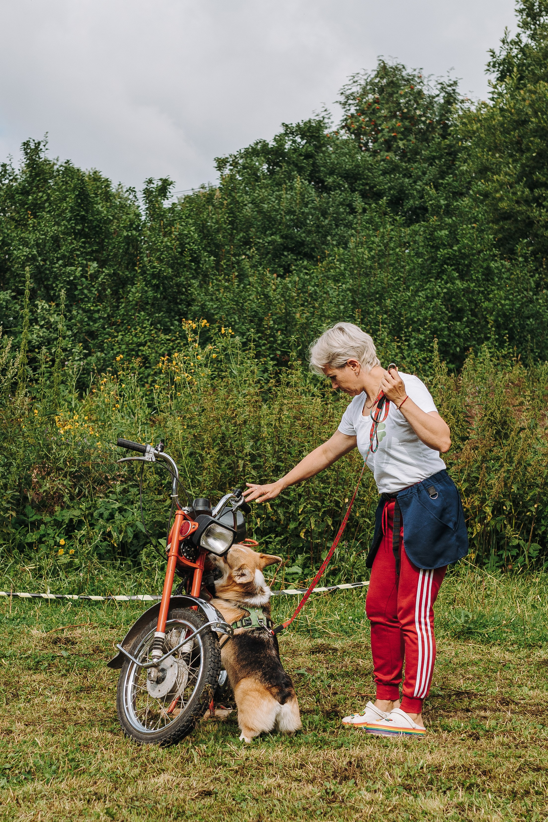 Соревнования по ноузворку в Новожилово. Фотограф анималист в Спб недорого Олеся Майорова
