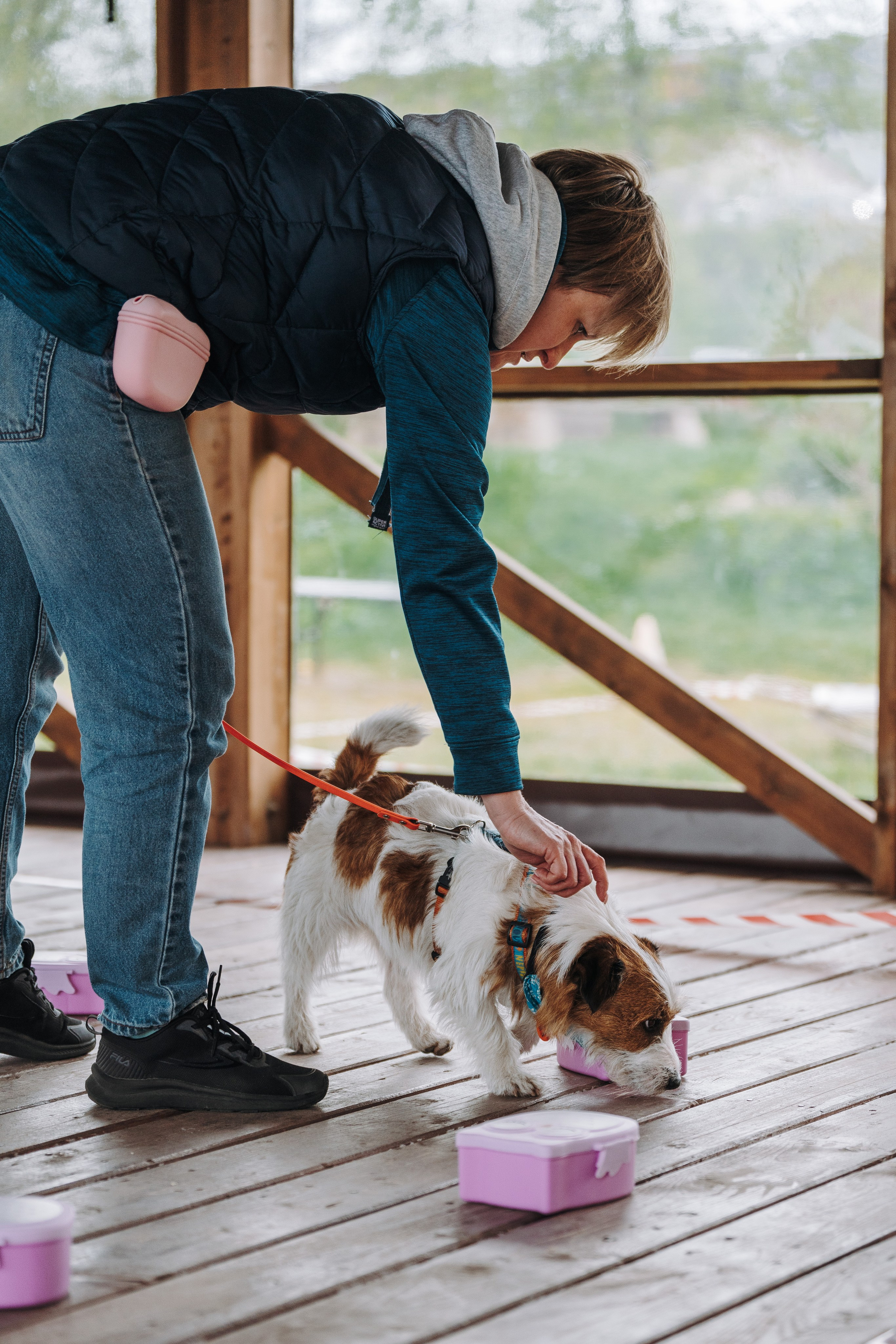 Соревнования по ноузворку в Лосево. Фотограф анималист в Спб недорого Олеся Майорова