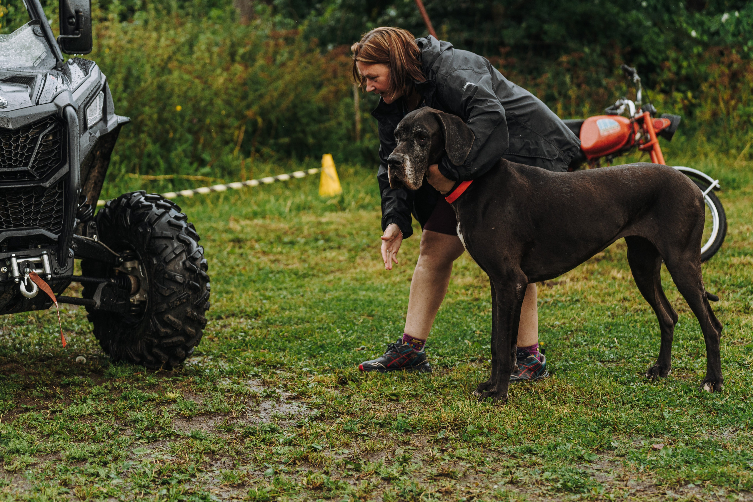 Соревнования по ноузворку в Новожилово. Фотограф анималист в Спб недорого Олеся Майорова