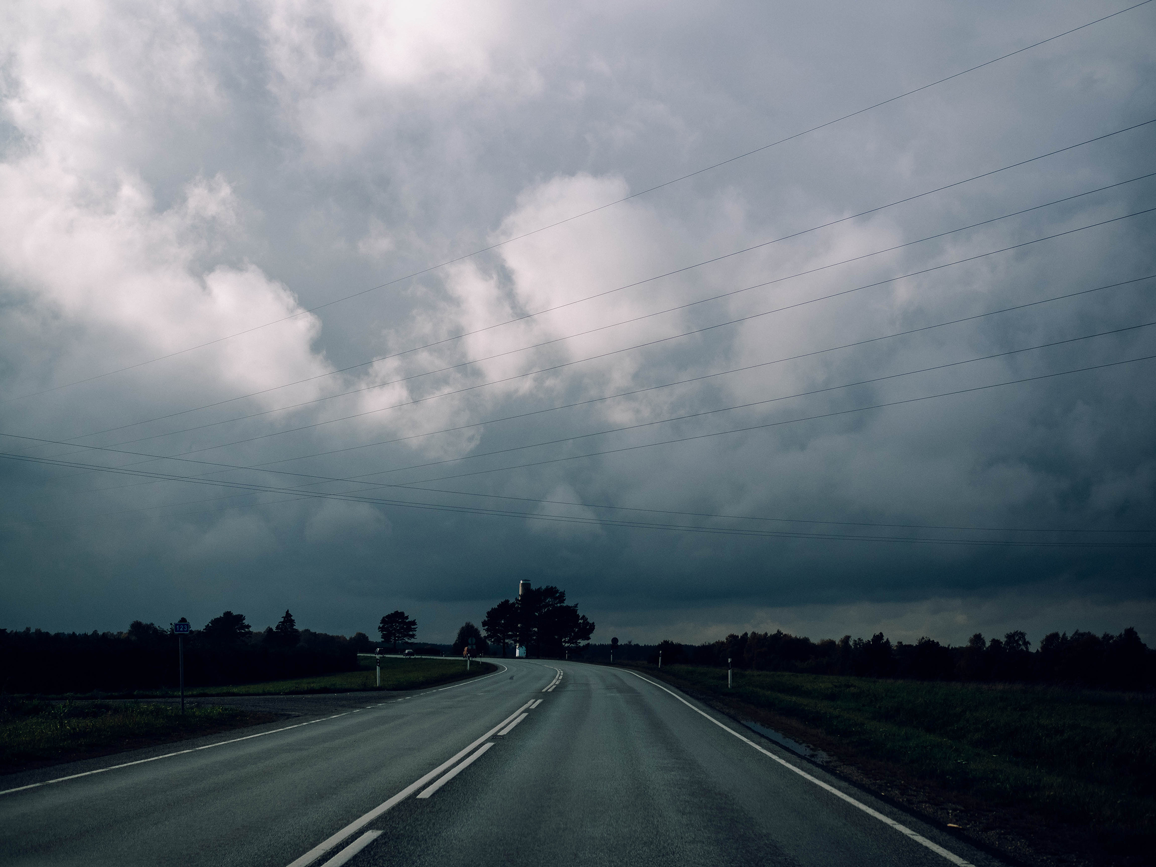 Ll. @dariazphoto свадебный фотограф