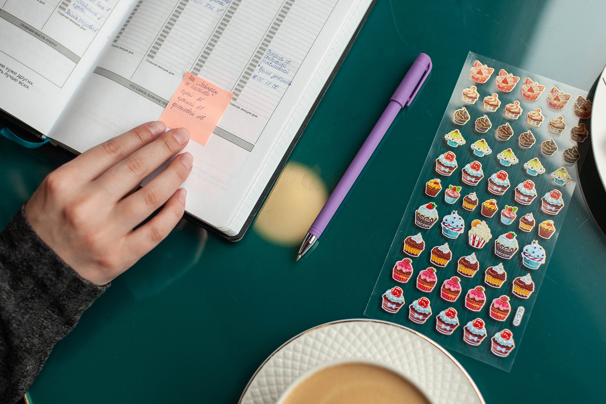 Имиджевая фотосессия. @dariazphoto свадебный фотограф