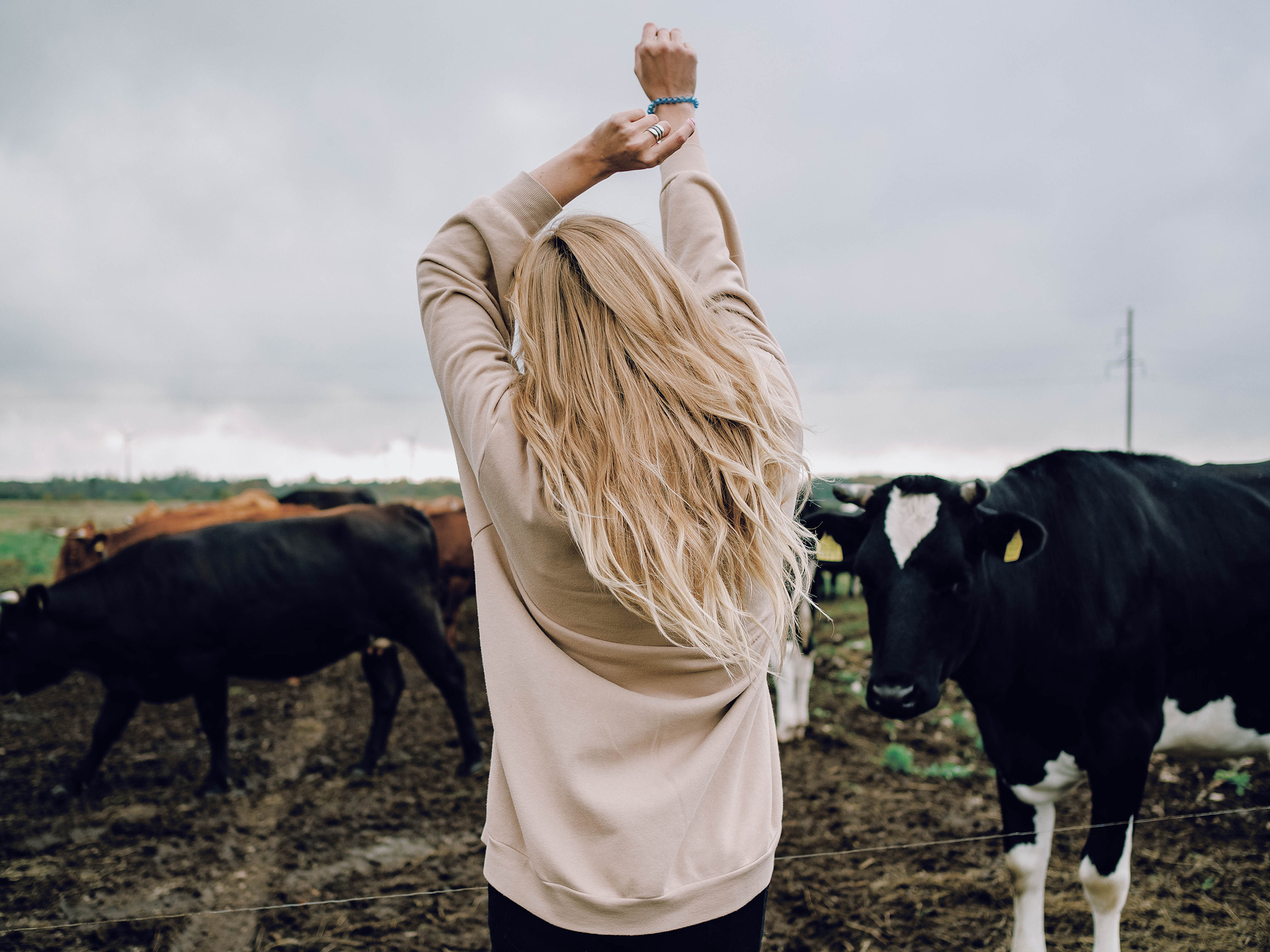 Ll. @dariazphoto свадебный фотограф