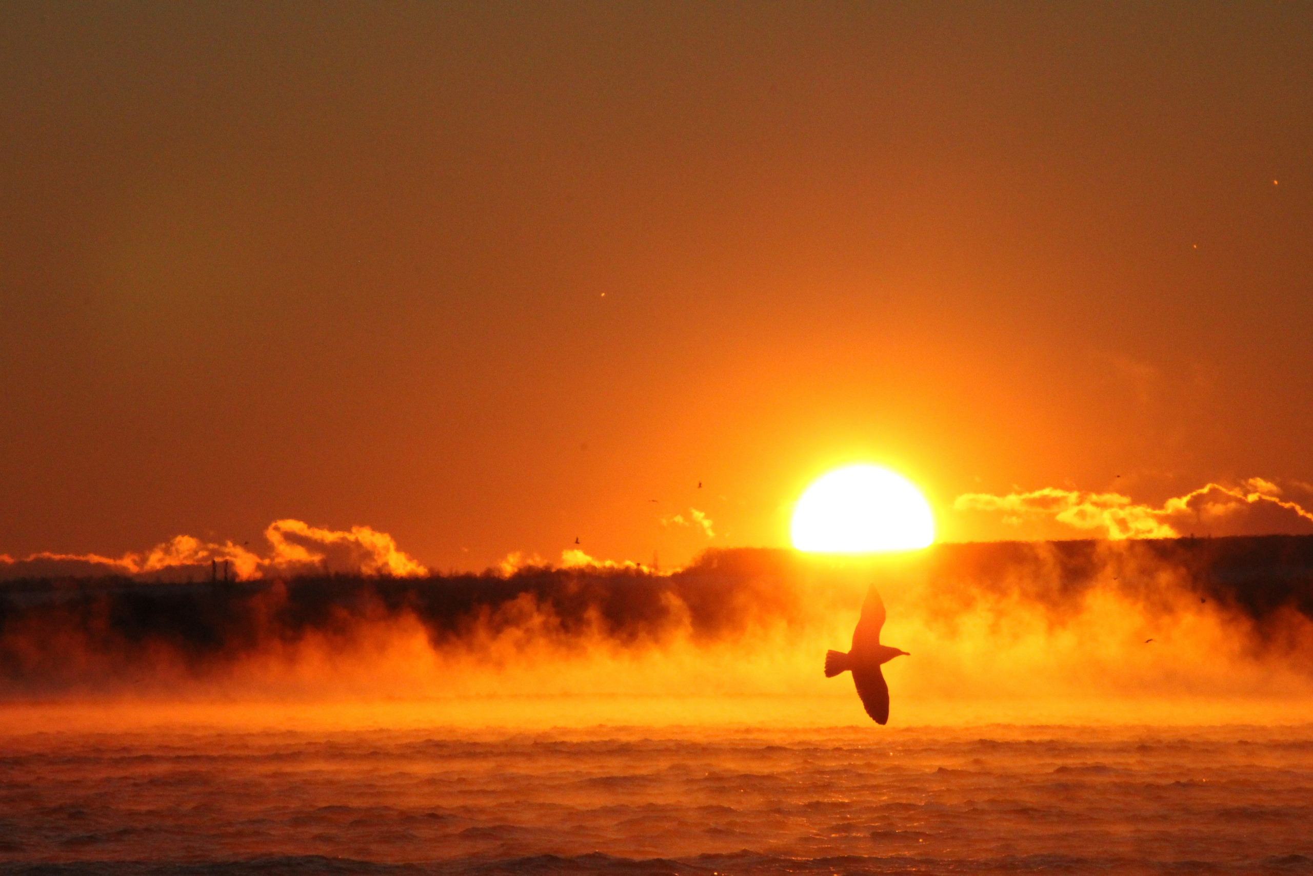 О себе. Фотограф Наталья Мершина