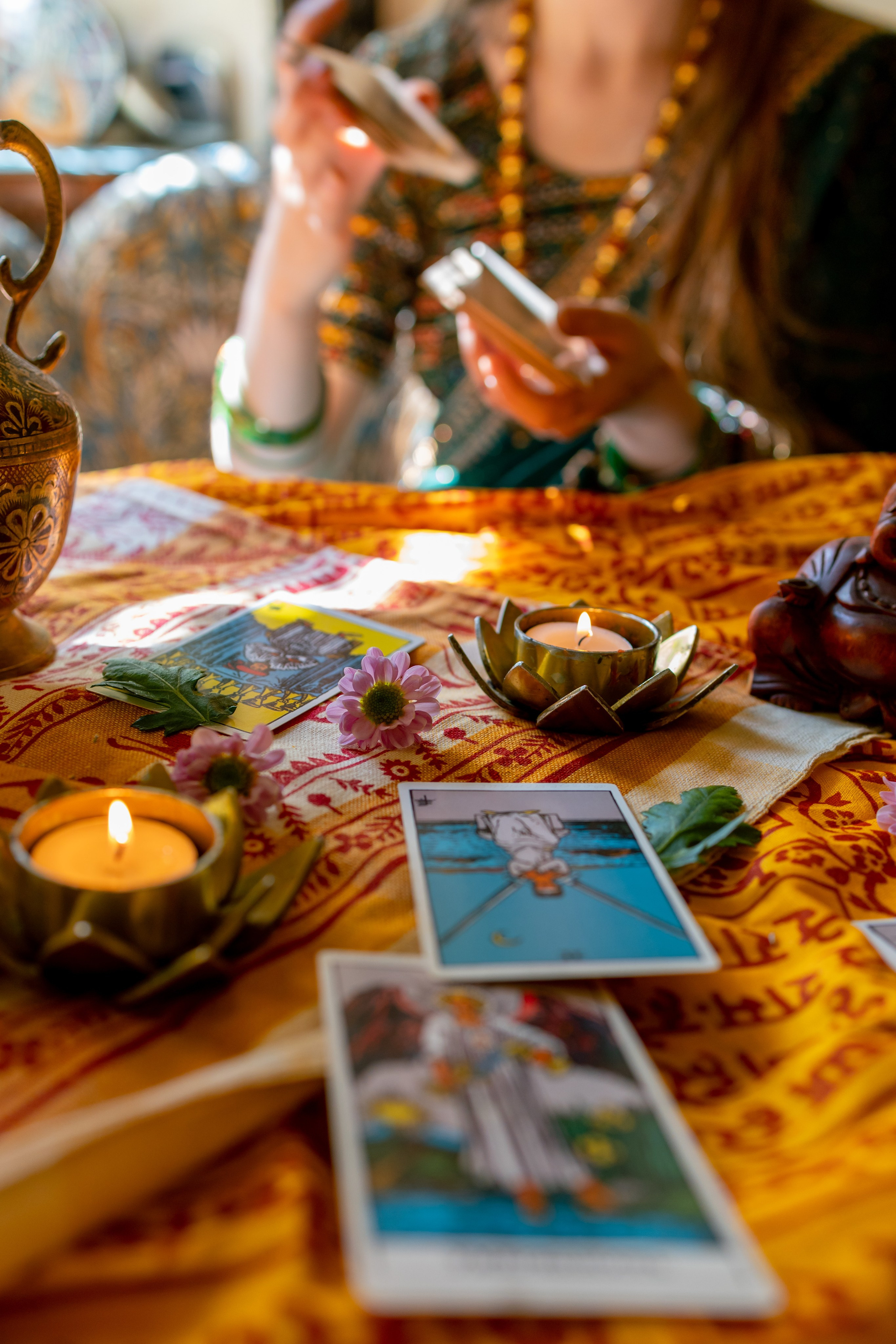 Красавицы Кашмира Спб