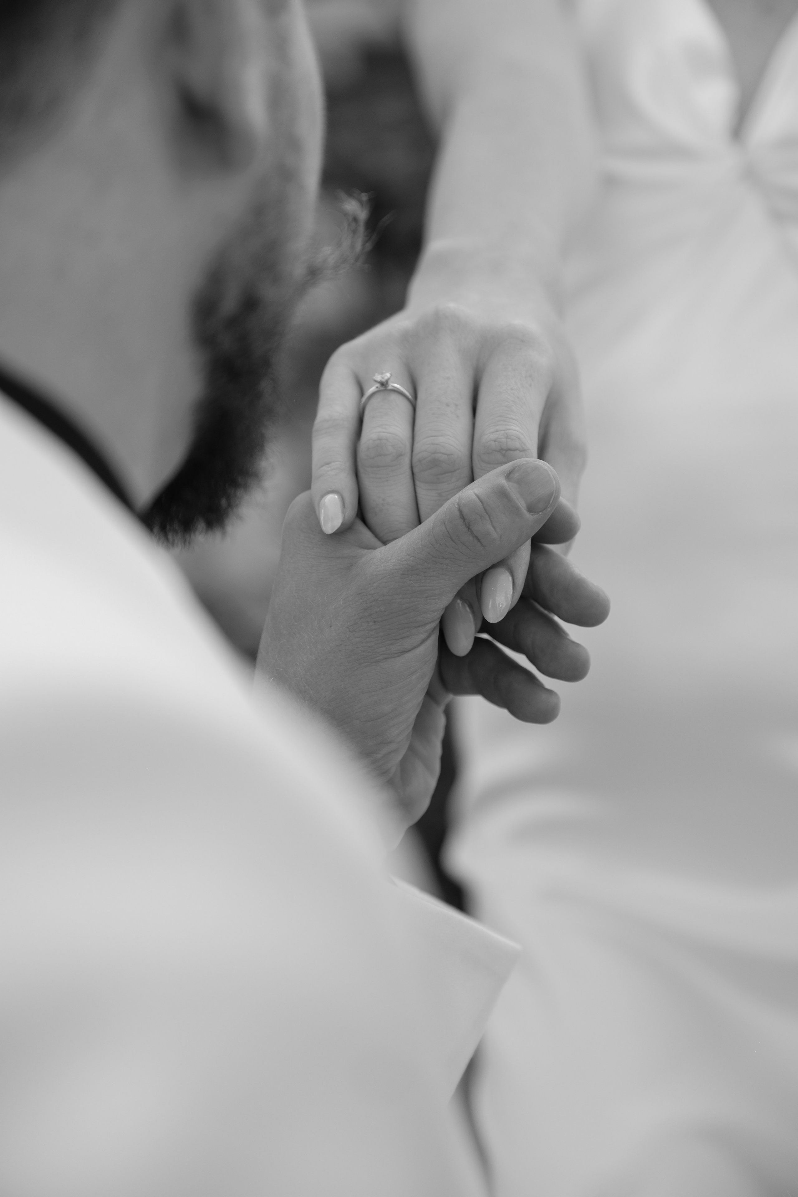 Alexander Alina. Wedding photographer