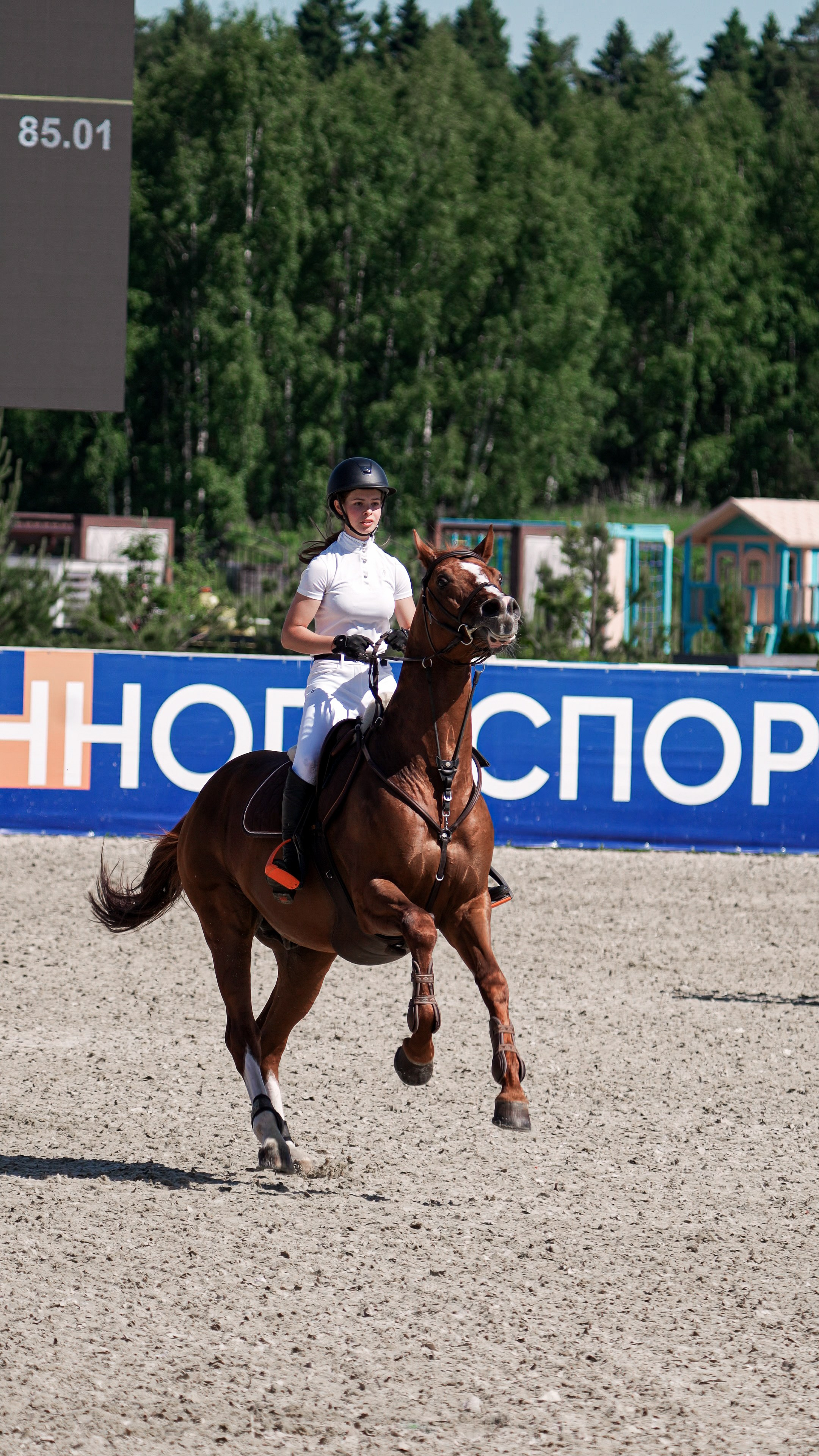 Первенство Московской области по Конкуру — Хорсека. Фотограф Светлана Усова