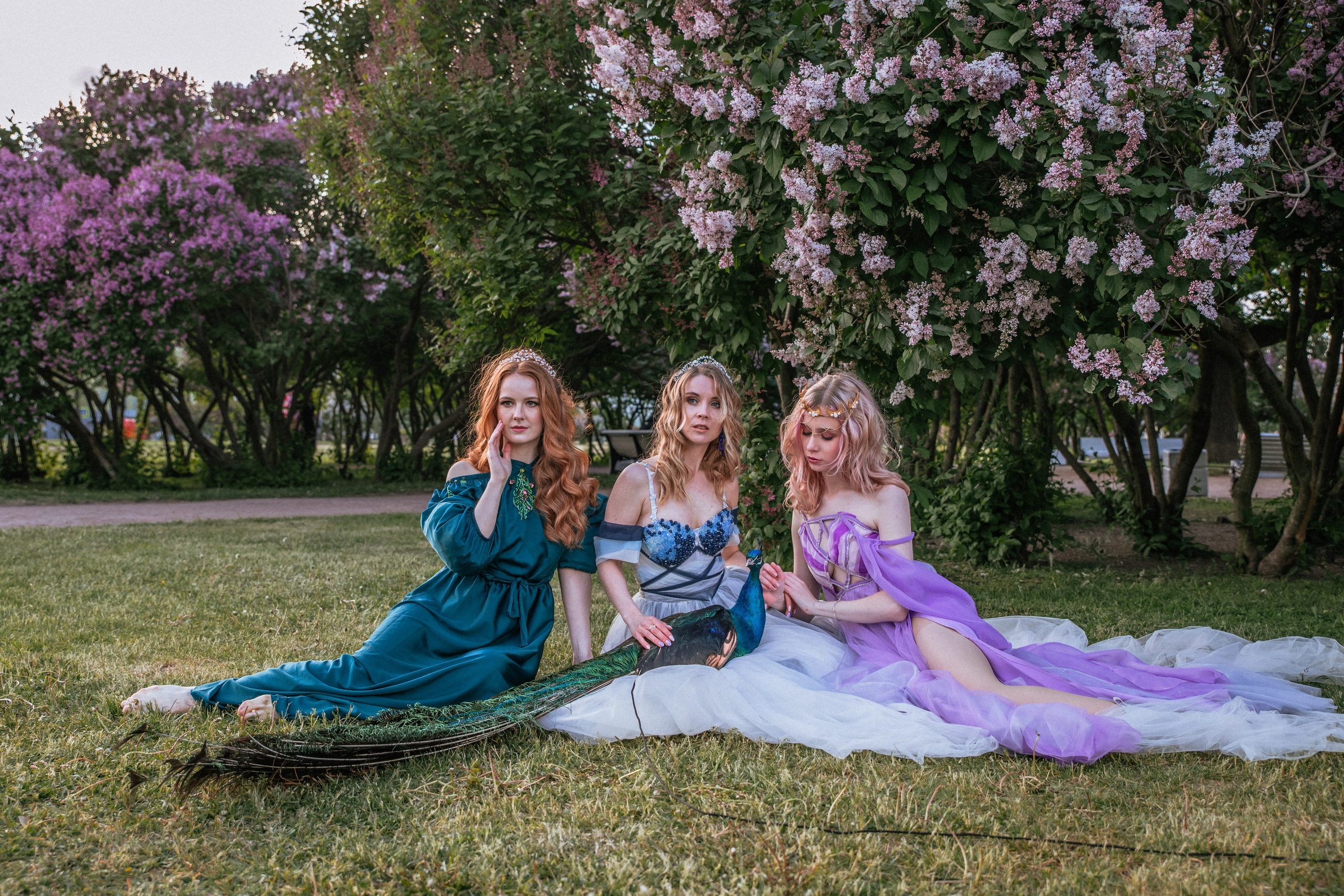 Павлин. Elena Sova — семейный и женский фотограф в Санкт-Петербурге