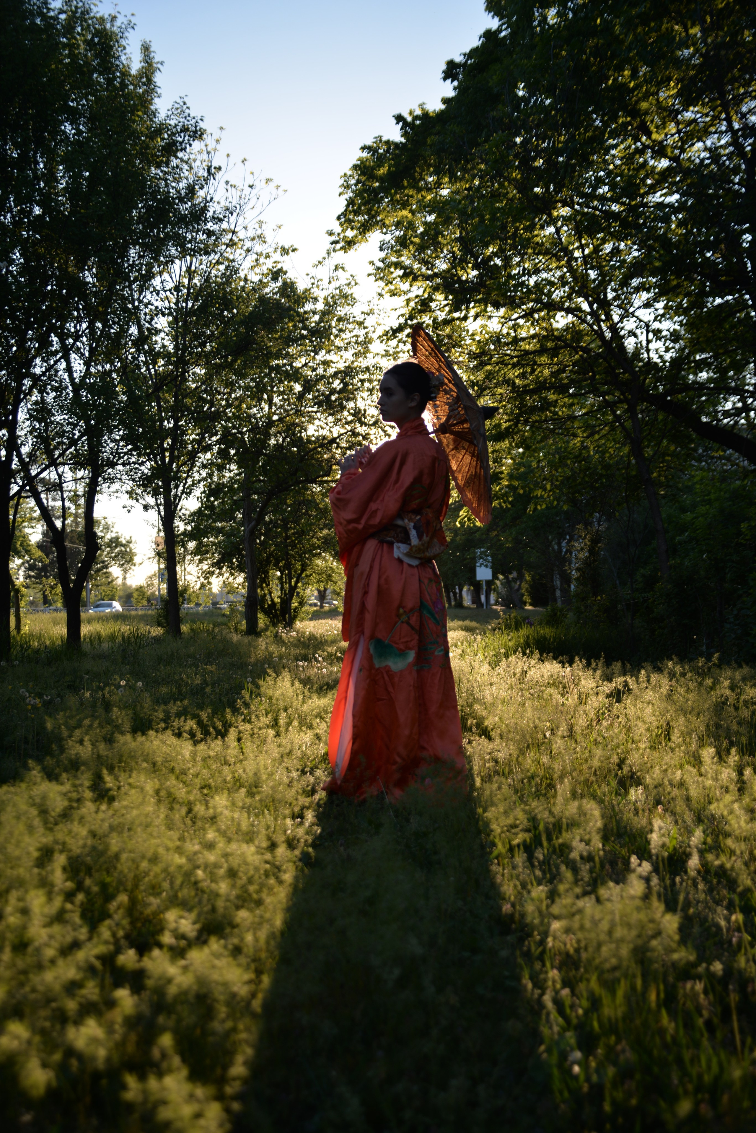 Сакура. Фотограф Майкоп Митрова Рената