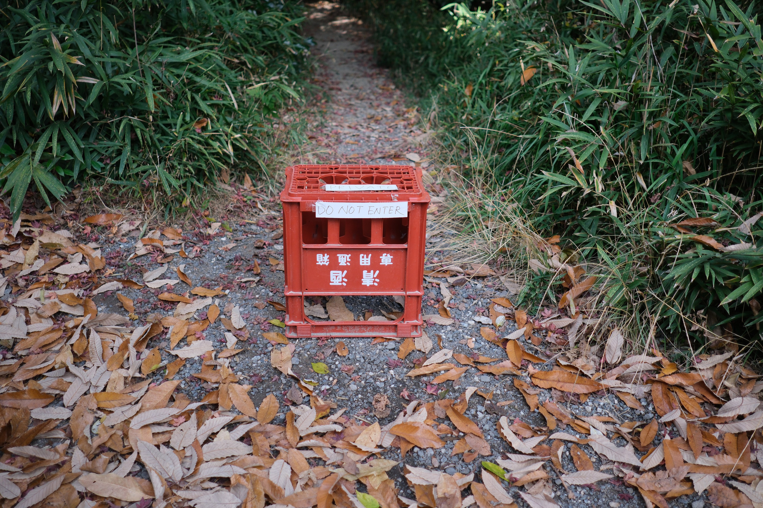 Japan. Sasha Chernov | Documentary Photographer, Berlin