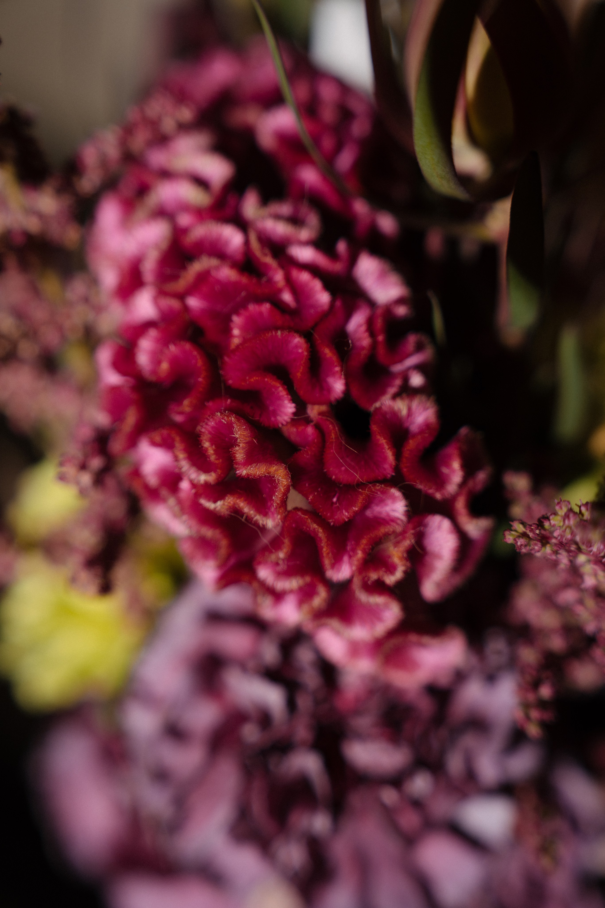 Дима & Алена. Оформление свадеб, декор свадеб Вера Маркова, Москва