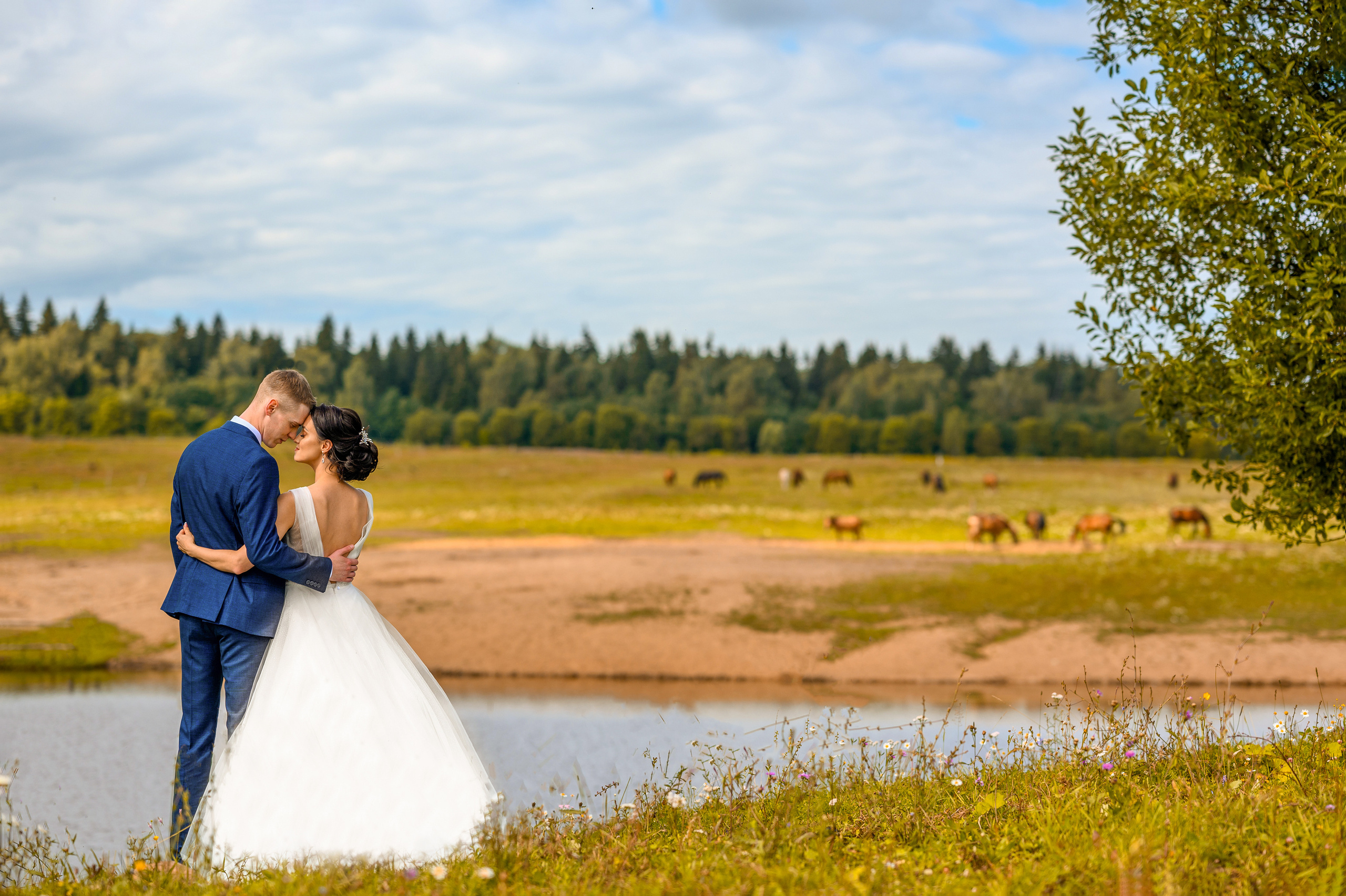 Прогулка в поле, свадьба в поле, прогулка лошади. Семейный и контент фотограф в Москве Alira