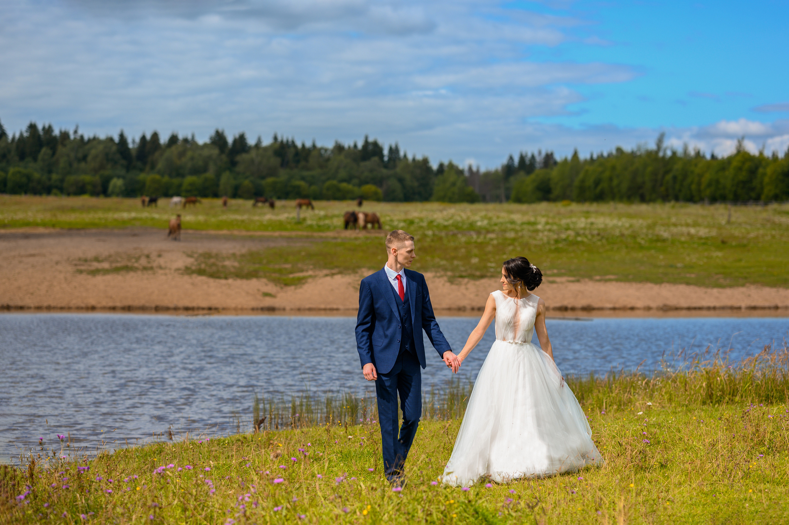 Прогулка в поле, свадьба в поле, прогулка лошади. Семейный и контент фотограф в Москве Alira