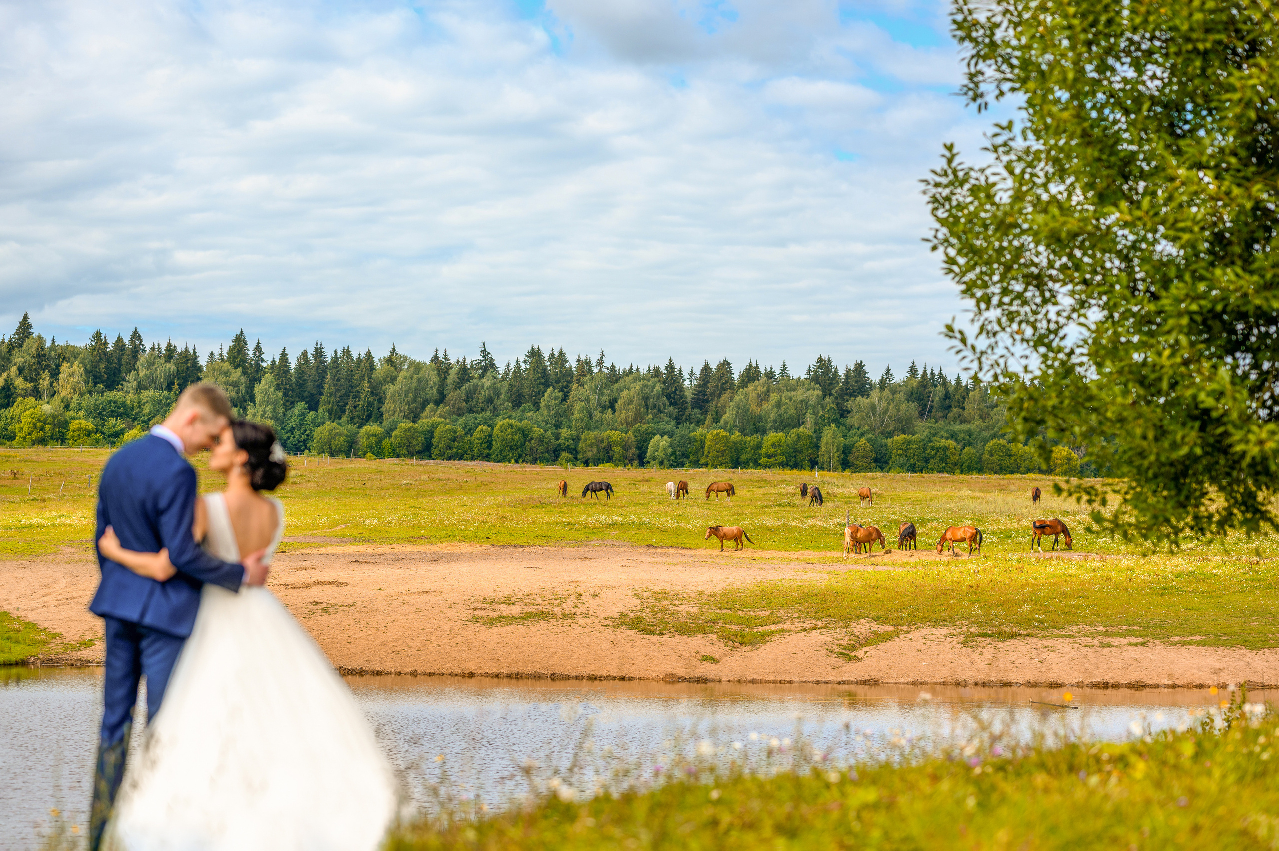 Прогулка в поле, свадьба в поле, прогулка лошади. Семейный и контент фотограф в Москве Alira