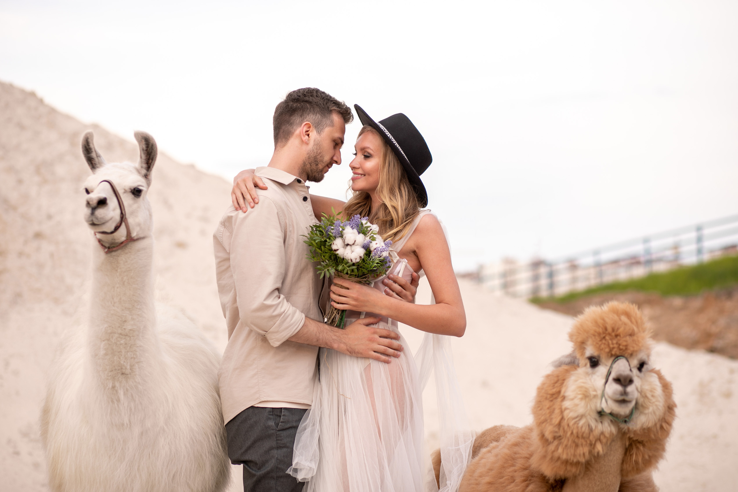 Свадьба в песках. Семейный и контент фотограф в Москве Alira