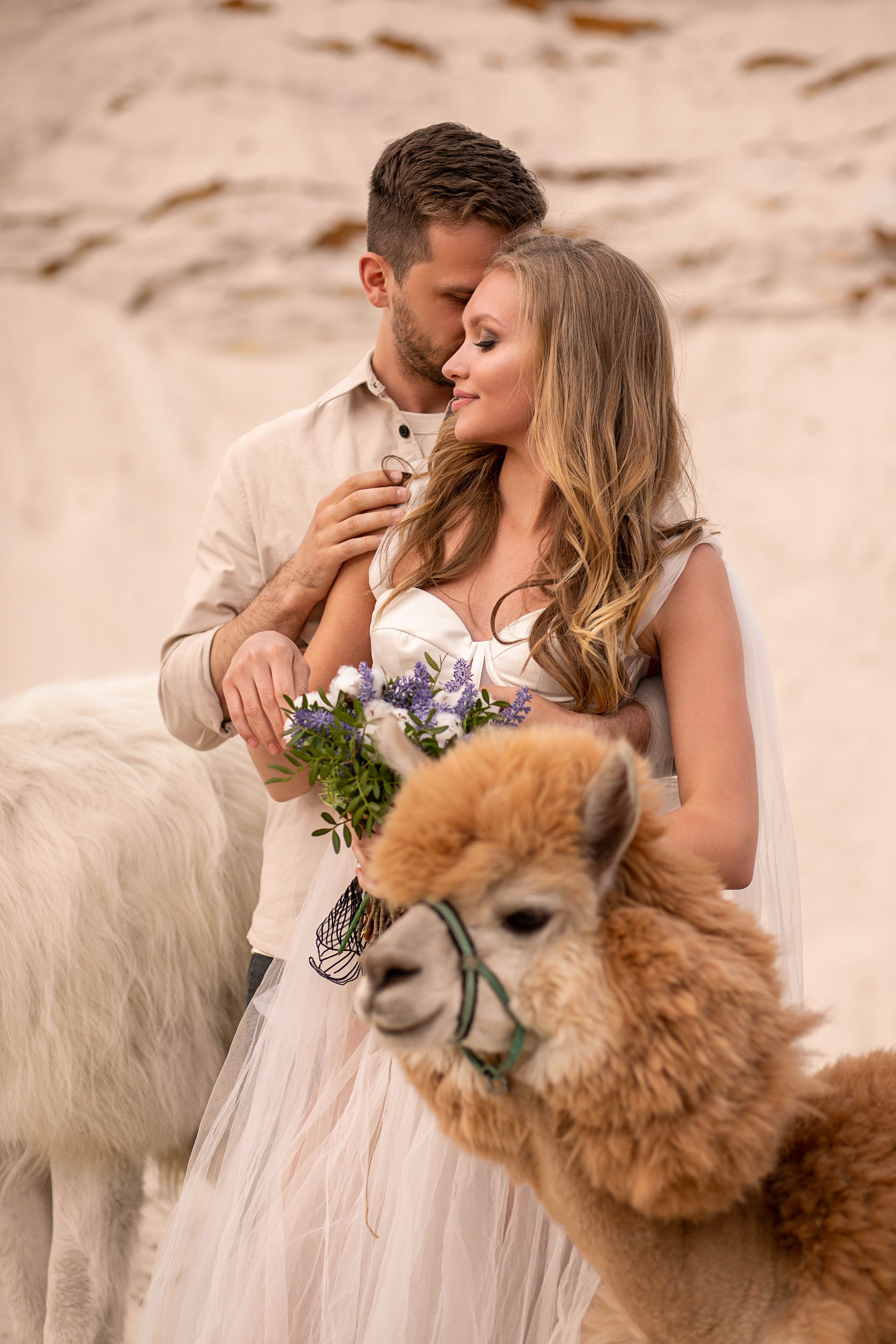 Свадьба в песках. Семейный и контент фотограф в Москве Alira