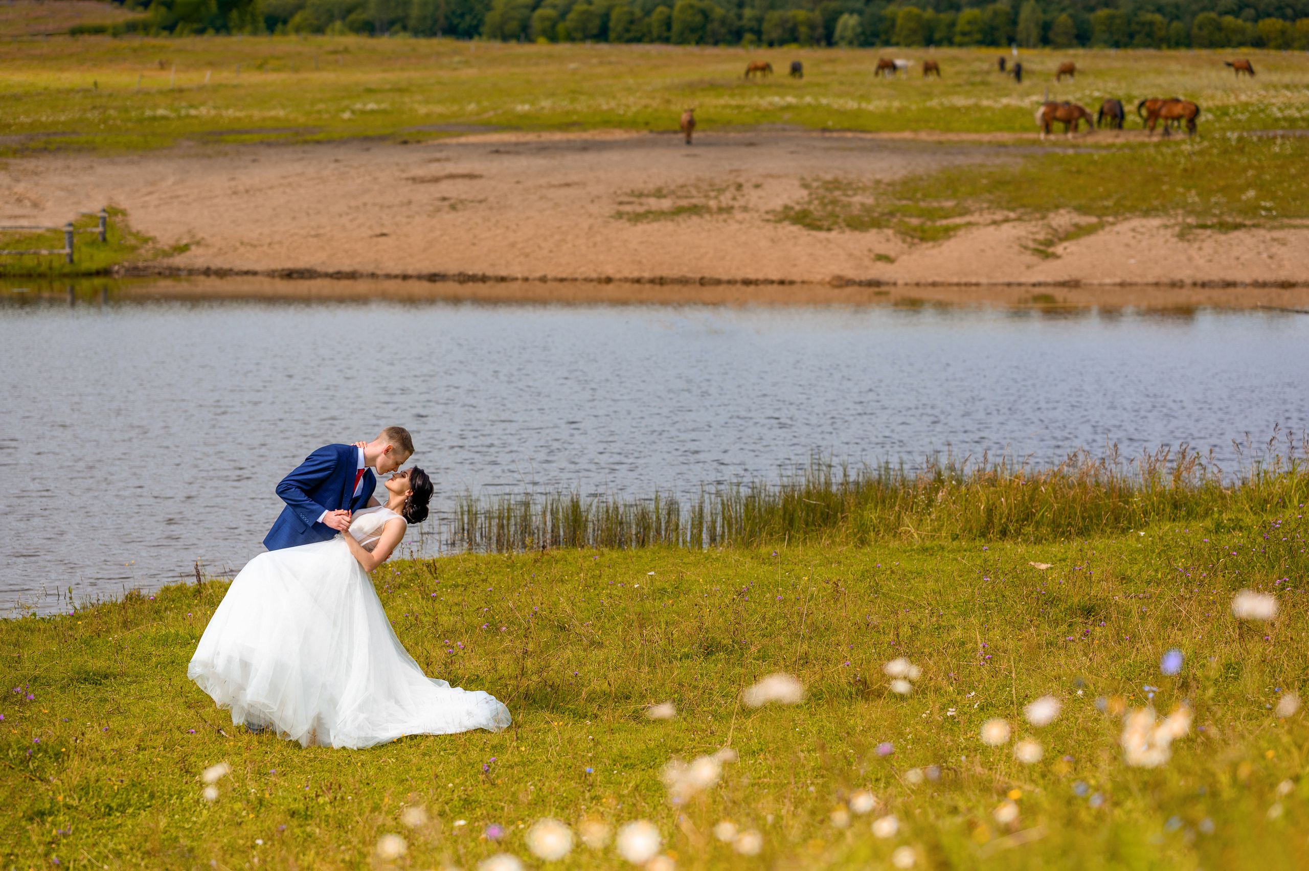 Прогулка в поле, свадьба в поле, прогулка лошади. Семейный и контент фотограф в Москве Alira