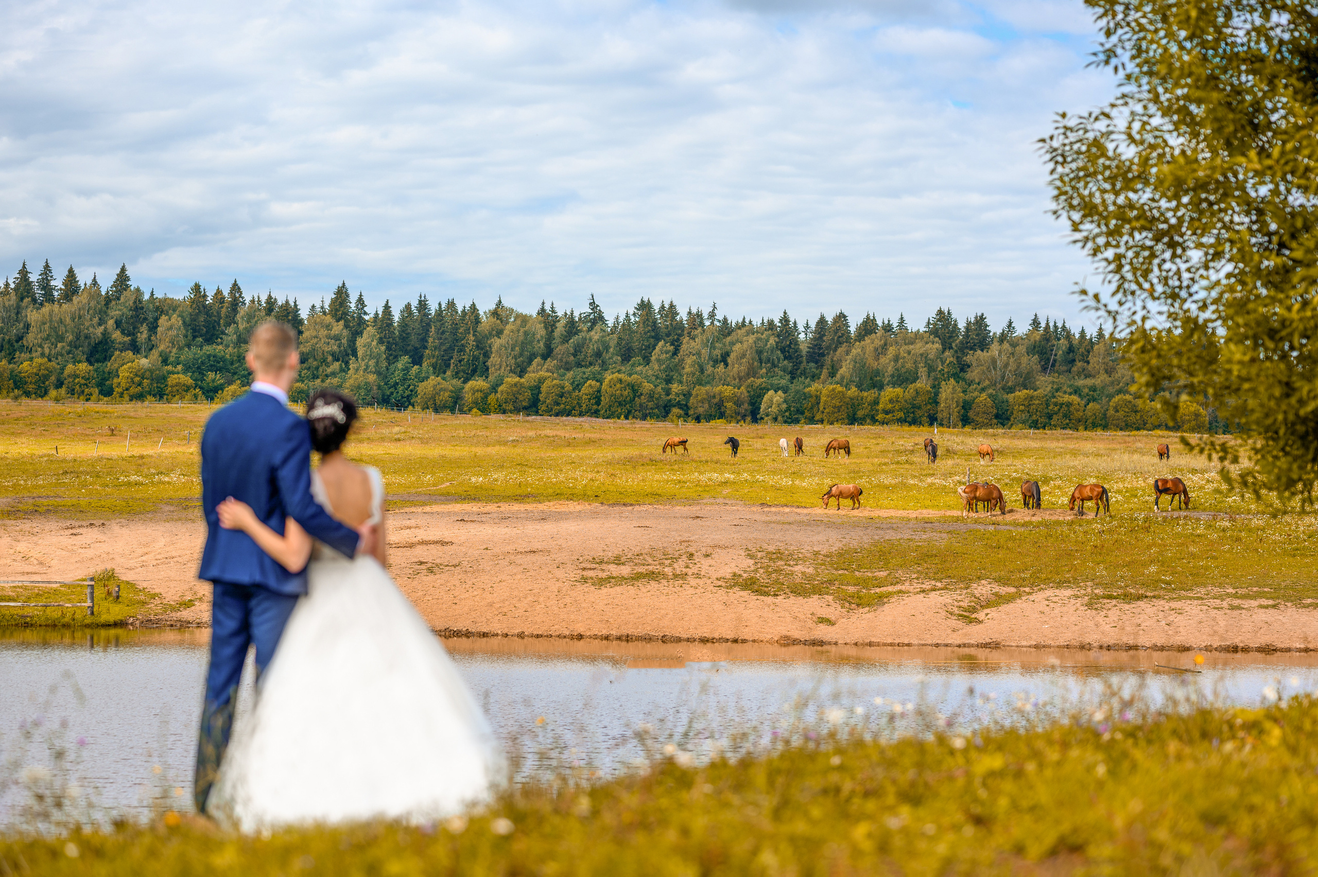 Прогулка в поле, свадьба в поле, прогулка лошади. Семейный и контент фотограф в Москве Alira