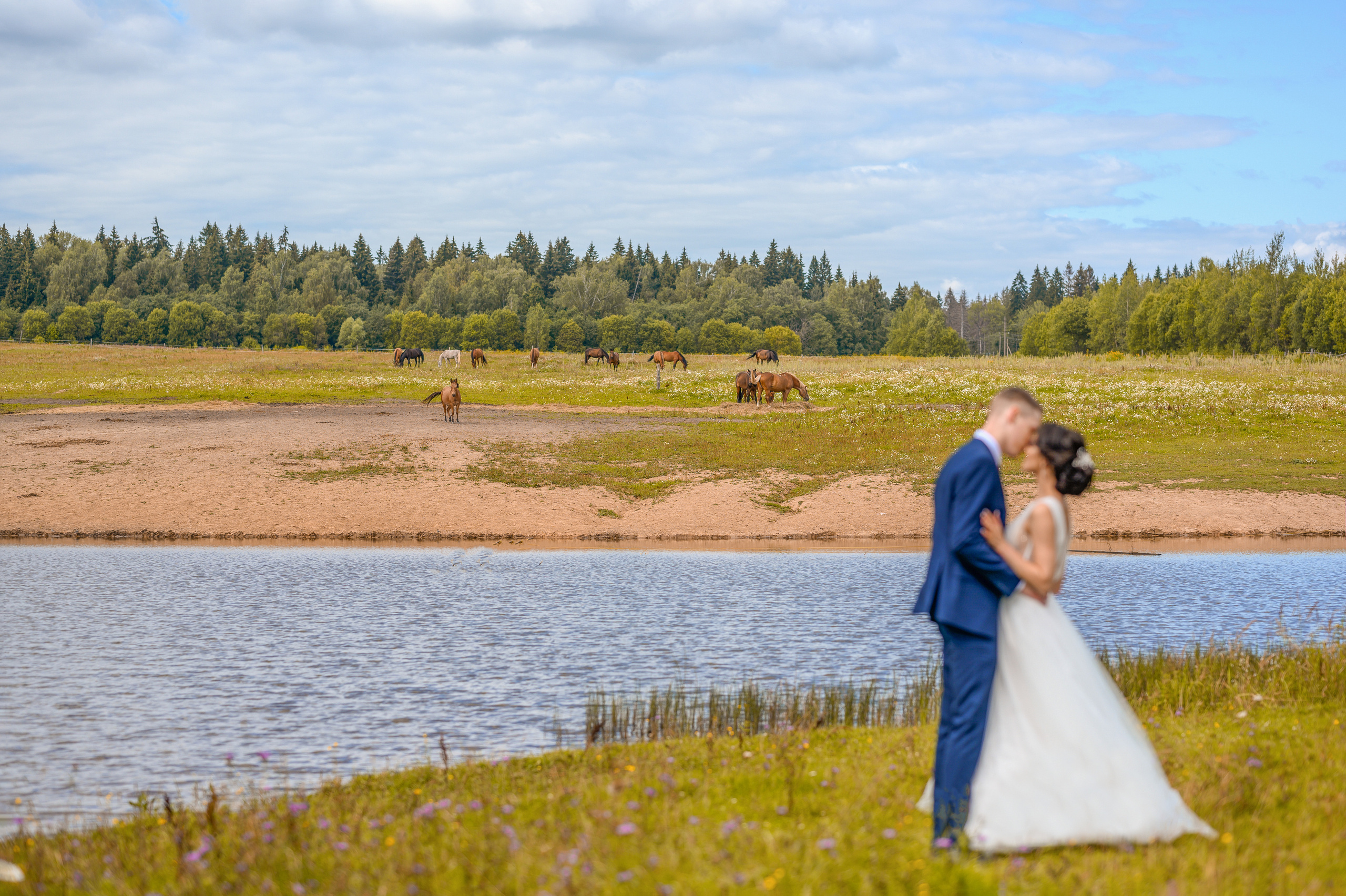 Прогулка в поле, свадьба в поле, прогулка лошади. Семейный и контент фотограф в Москве Alira