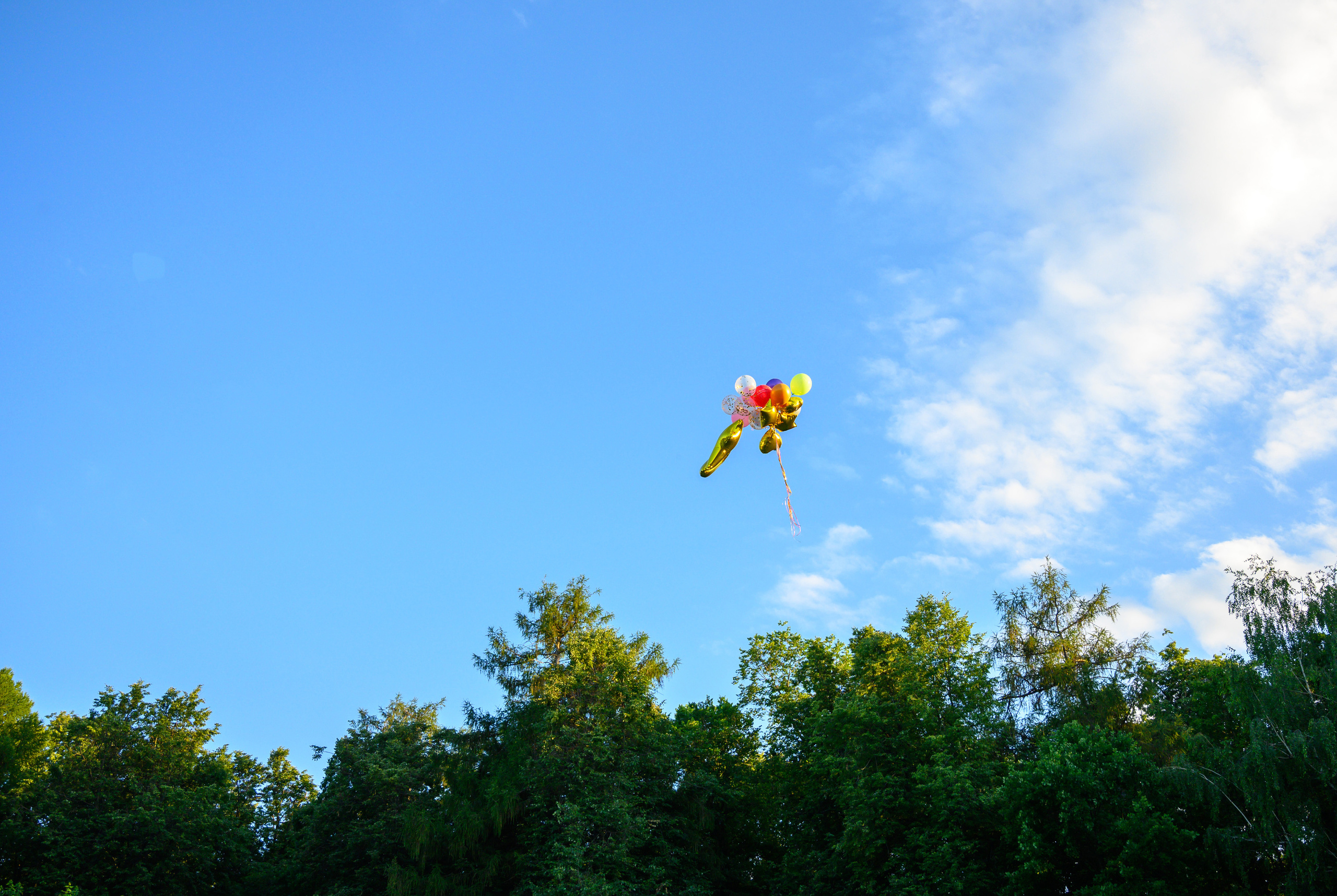 ДР Анюты 4 года. Семейный и контент фотограф в Москве Alira