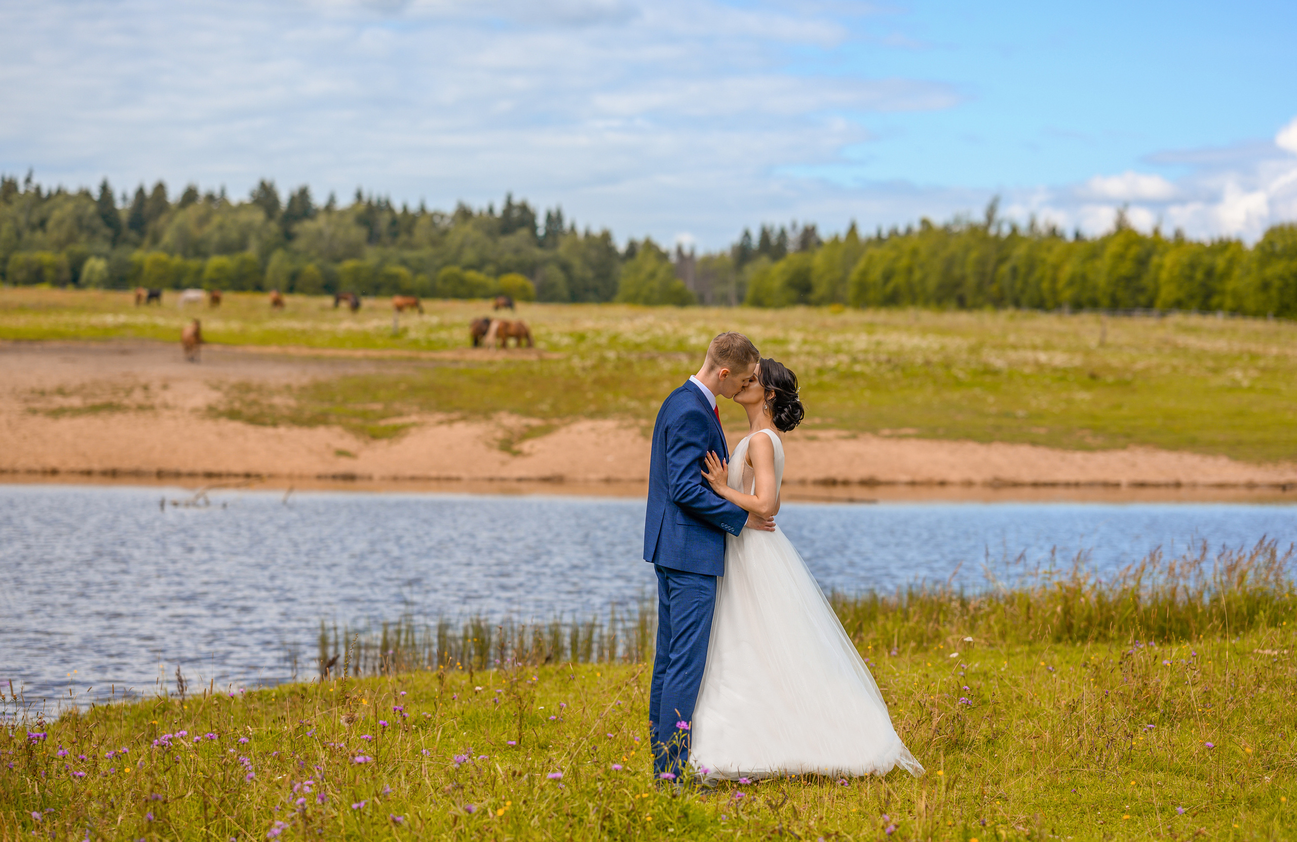 Прогулка в поле, свадьба в поле, прогулка лошади. Семейный и контент фотограф в Москве Alira