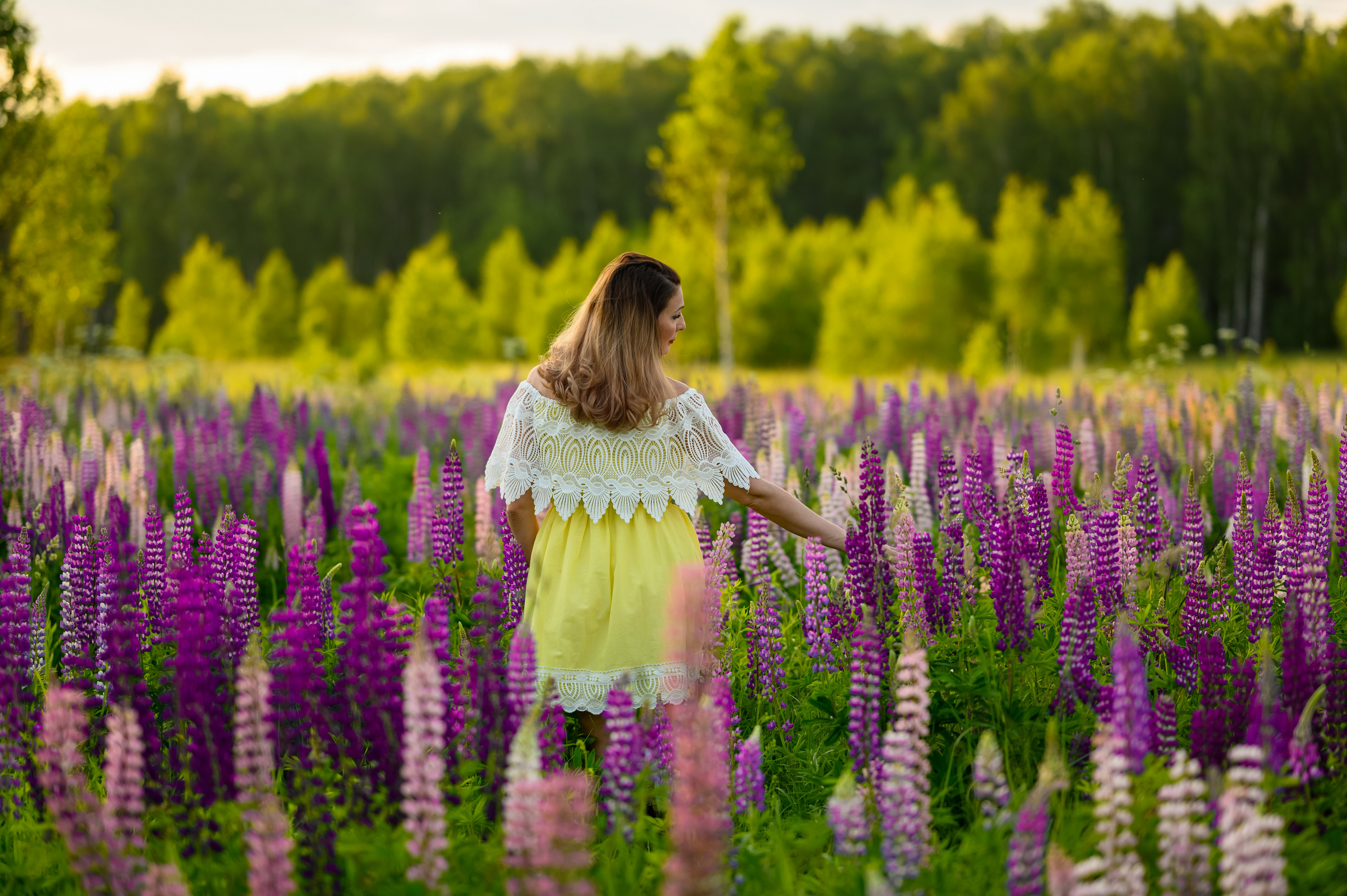 Цветение люпинов Ольга. Семейный и контент фотограф в Москве Alira
