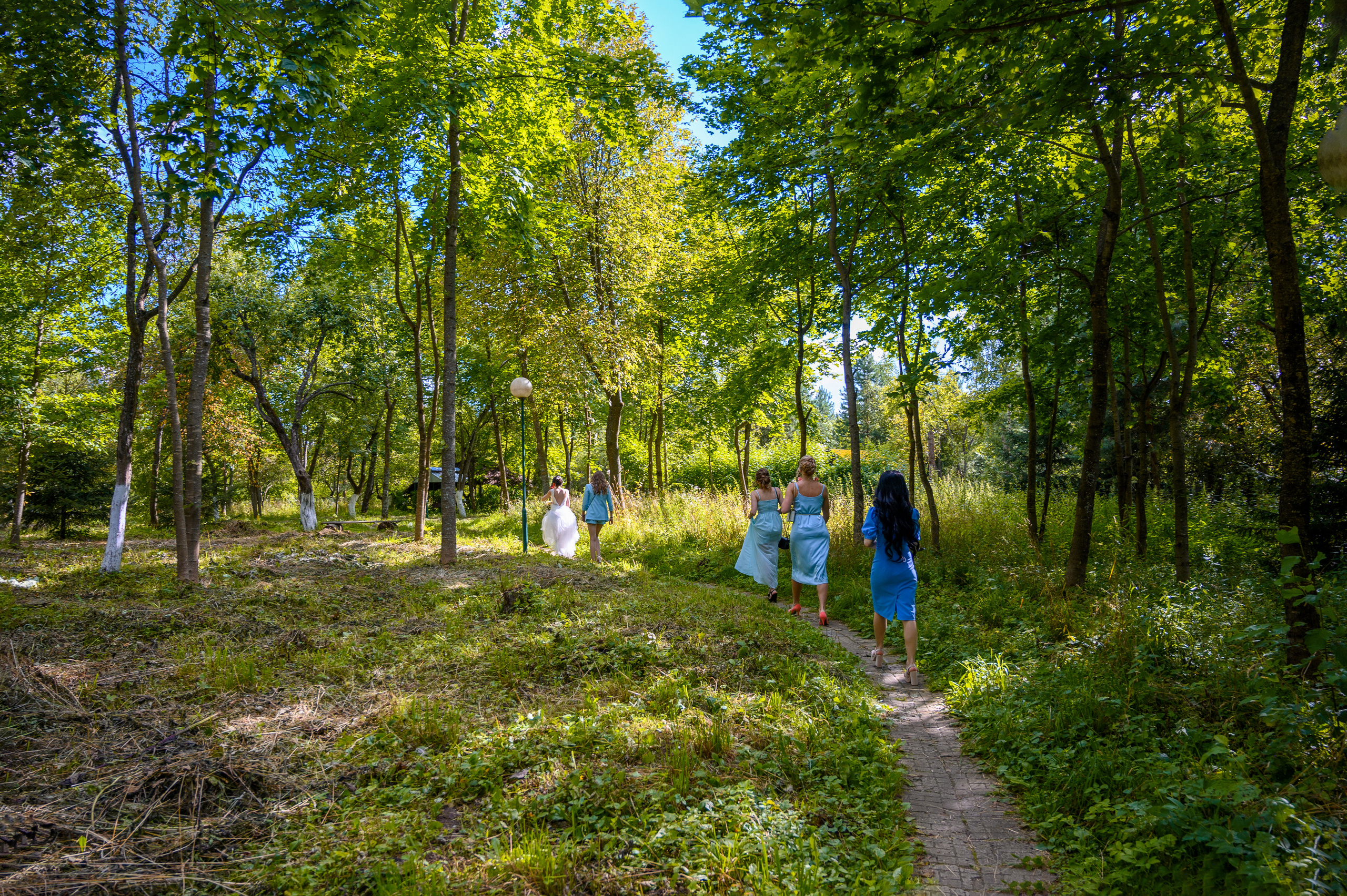 Прогулка в поле, свадьба в поле, прогулка лошади. Семейный и контент фотограф в Москве Alira