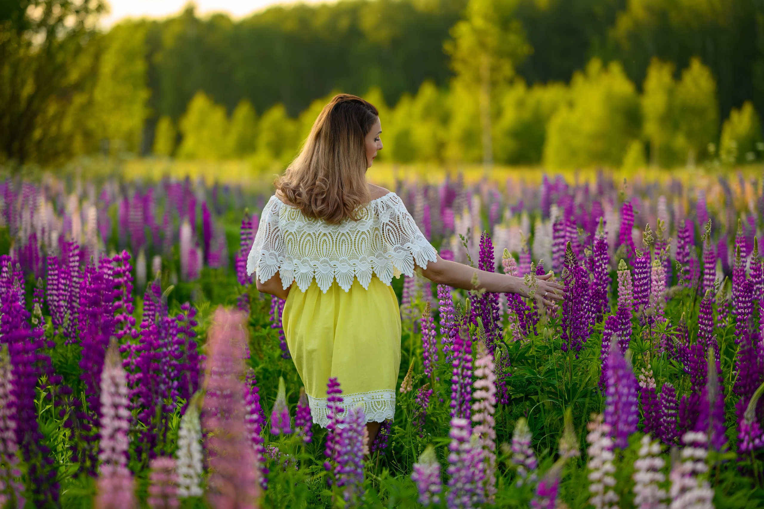 Цветение люпинов Ольга. Семейный и контент фотограф в Москве Alira