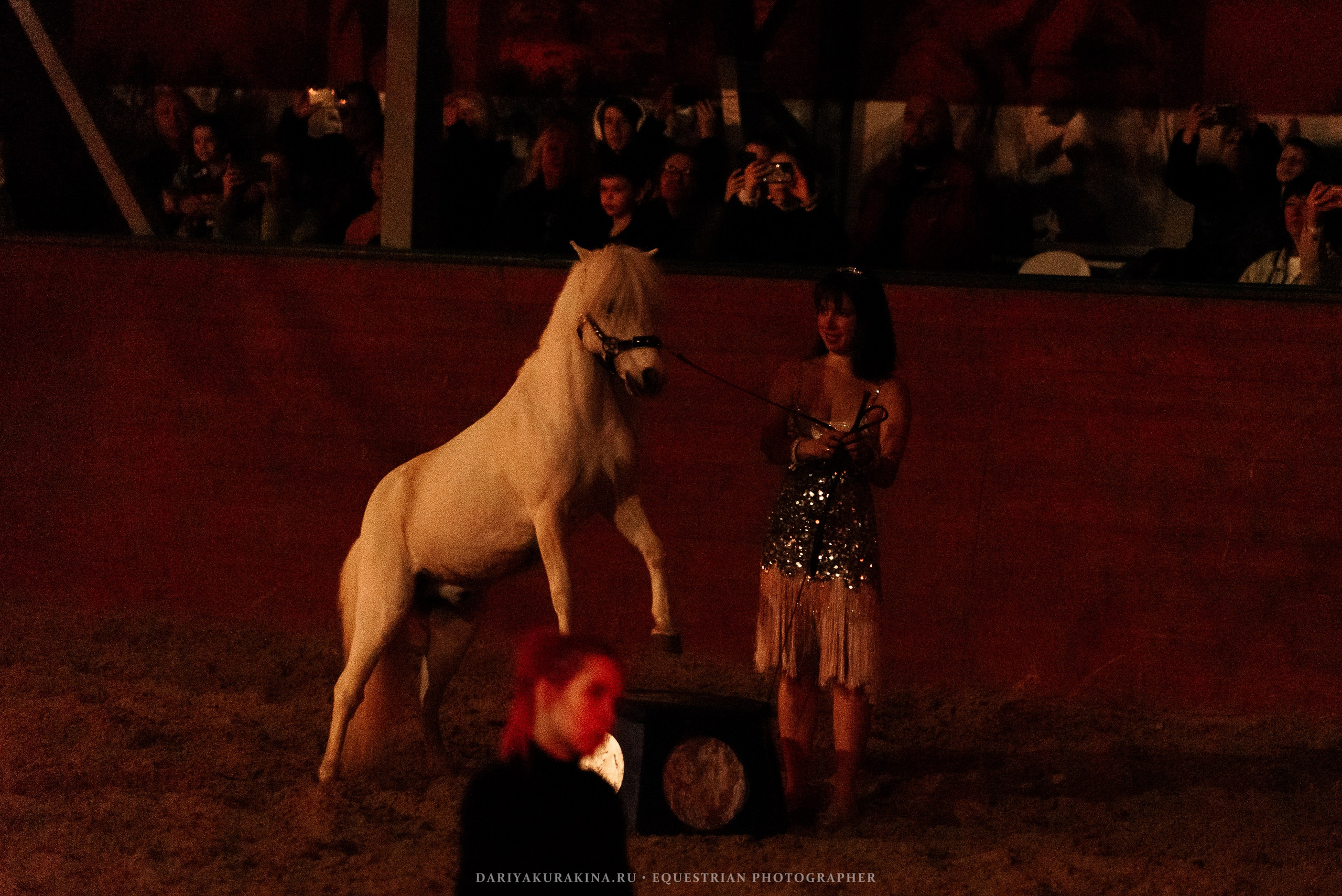 Конное представление «Дыхание Звёзд». Конный фотограф Куракина Дарья • Фотосессии с лошадьми