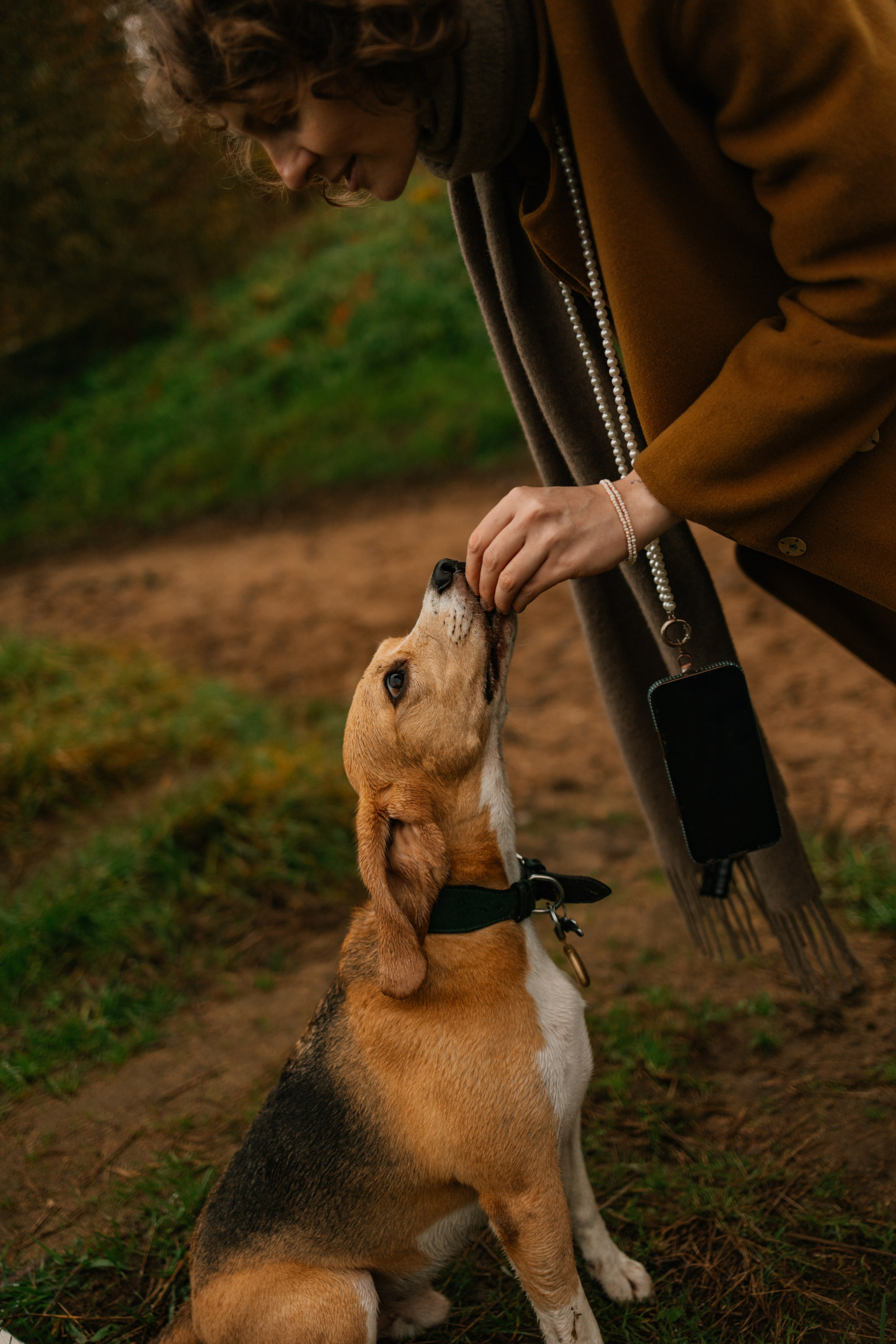 Лена и Тайгер. Фотограф — Анималист | Санкт-Петербург