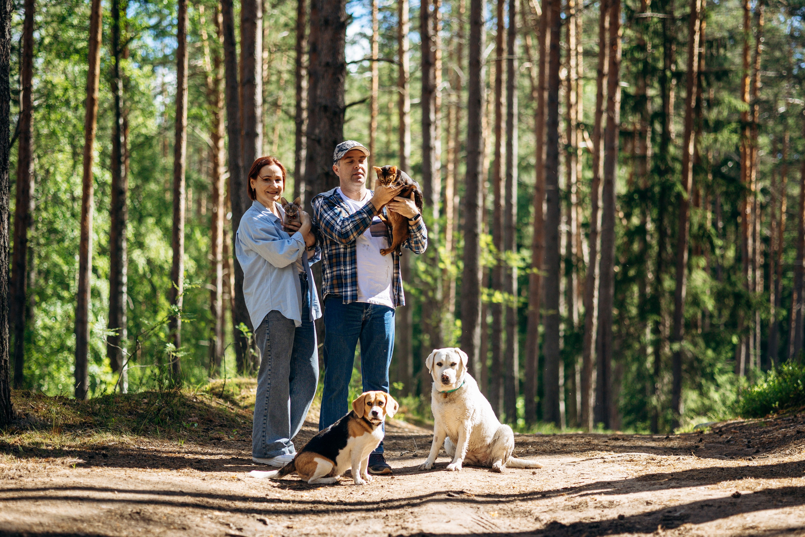 Котофеи и их семья. Фотограф — Анималист | Санкт-Петербург