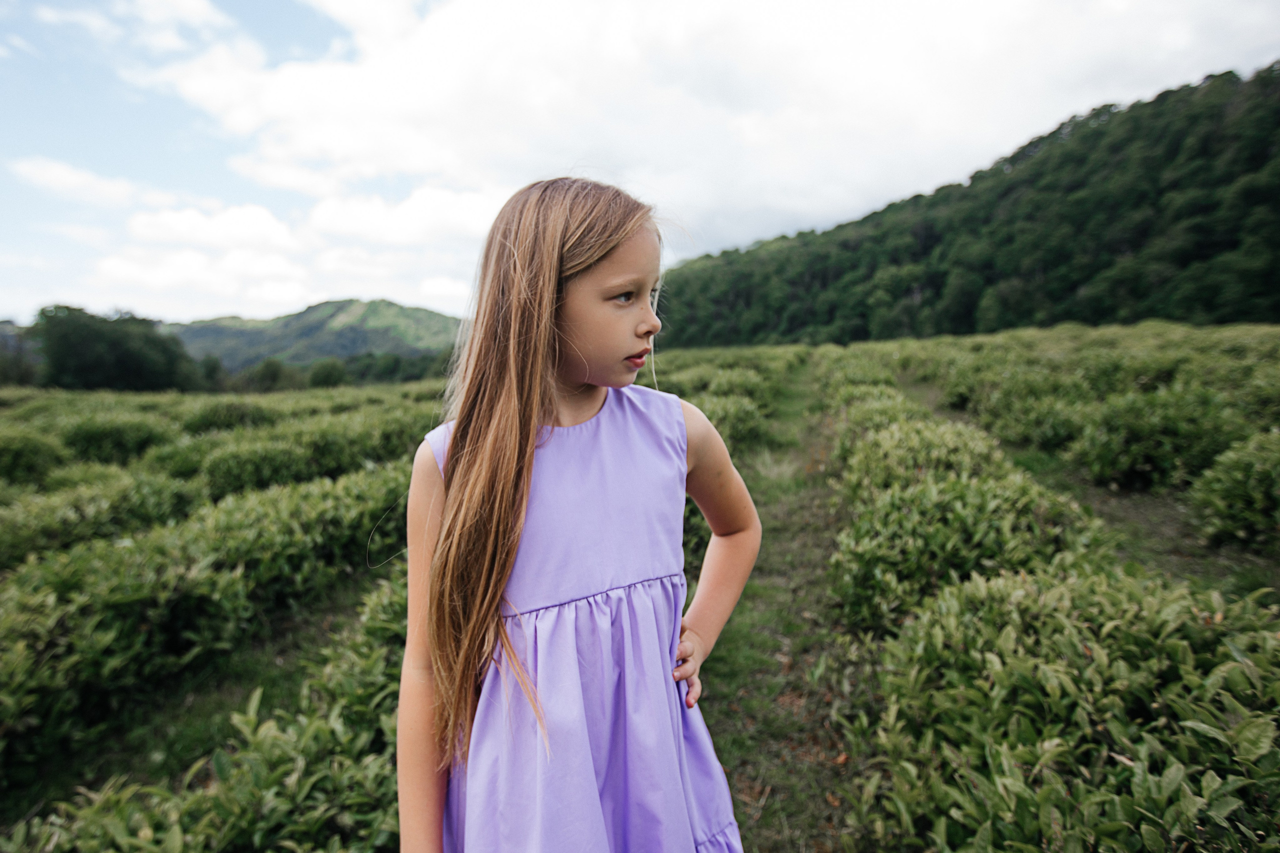 Tea plantation. Efimova Model Agency