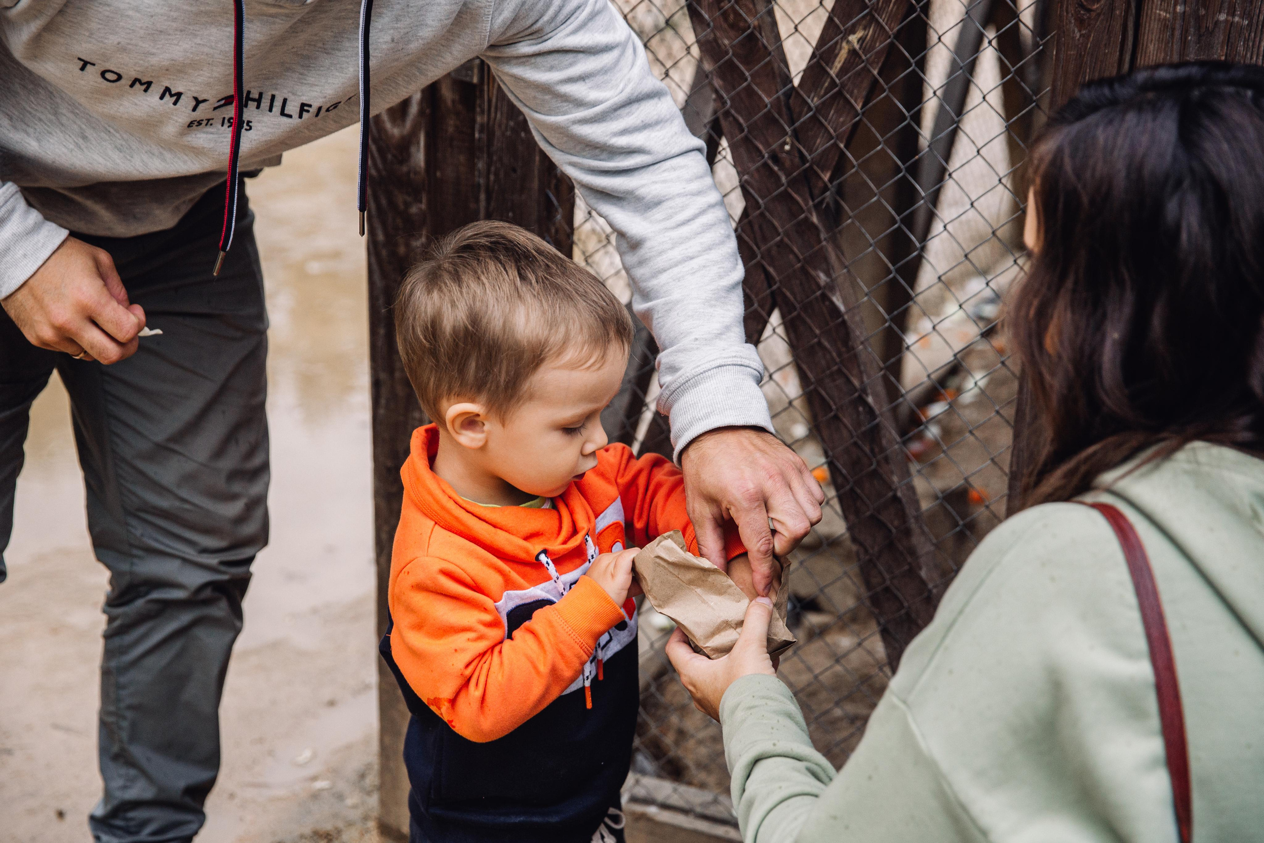 Прогулки в парке «Сады мечты». Марина Соколова. Контентный и семейный фотограф г. Красноярск