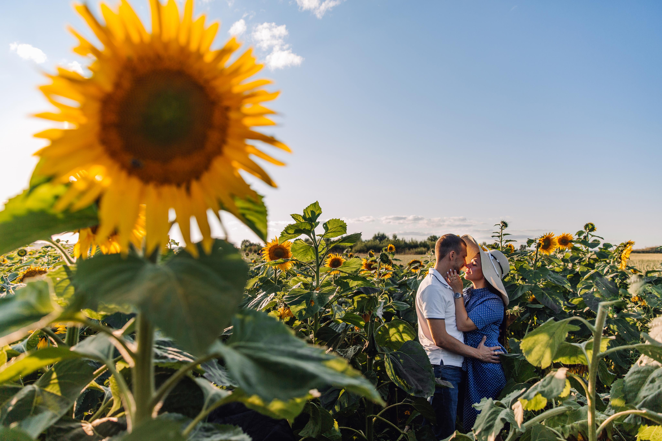 В поле. Марина Соколова. Контентный и семейный фотограф г. Красноярск