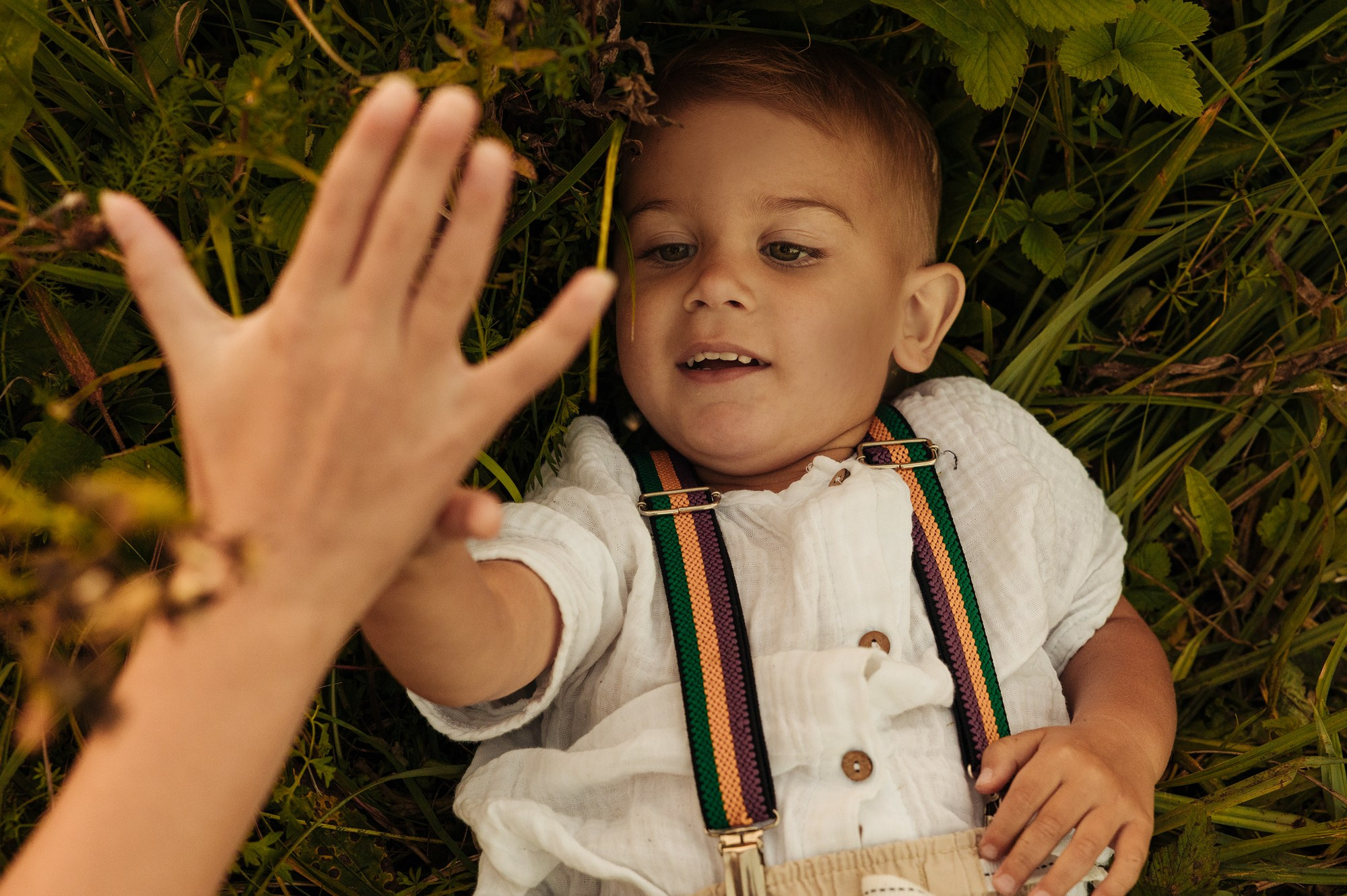 Жуковы. Главная