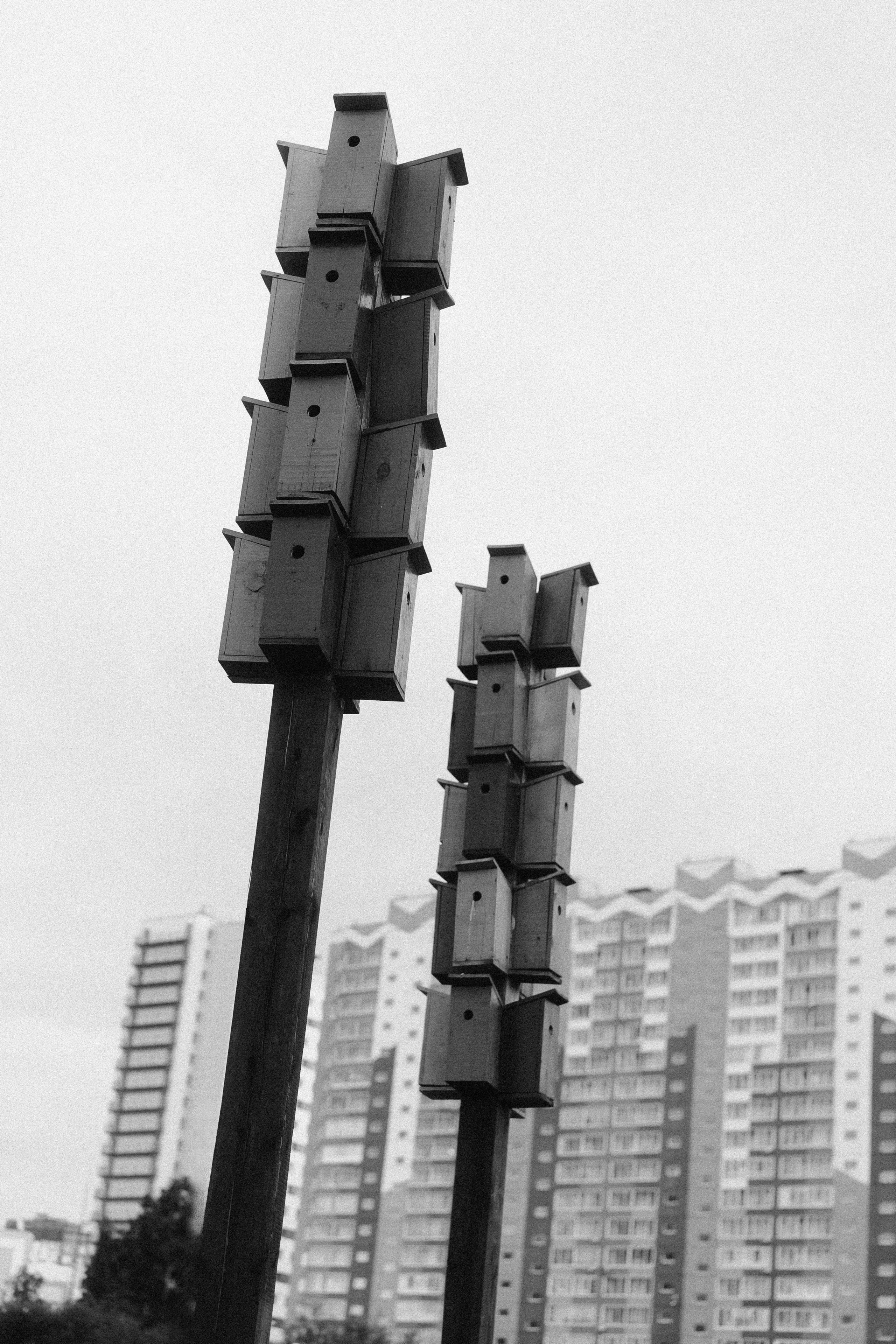 Зелёные горки. Veronika Popadeikina Photographer