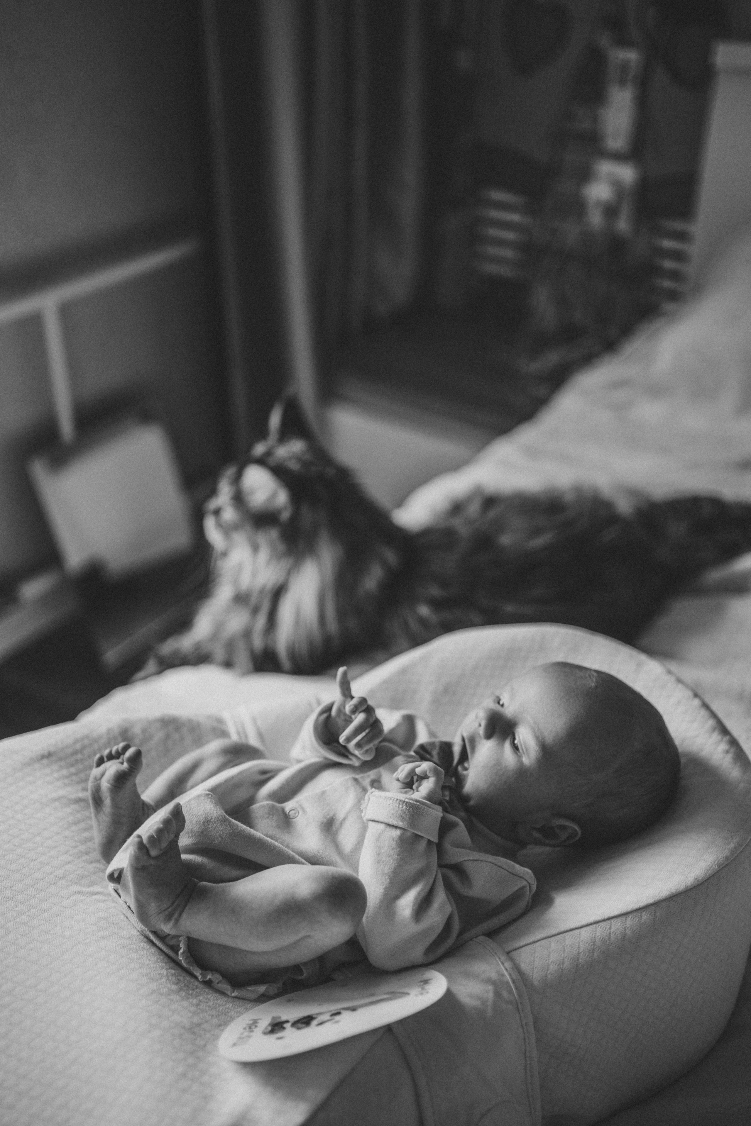 Семейные съемки. Фотограф Голенева Анастасия