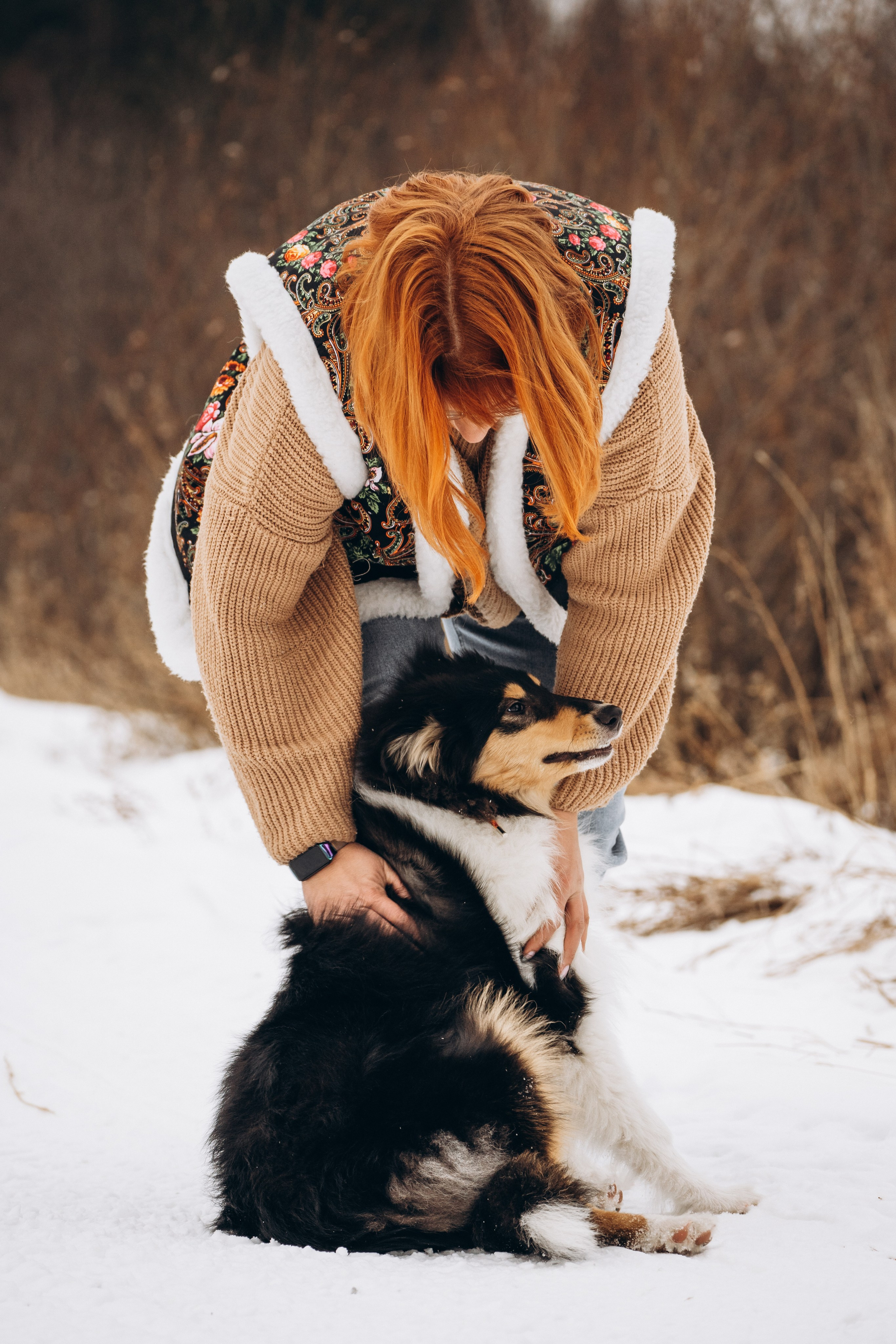 Альма. Фотограф-анималист Анастасия Большакова
