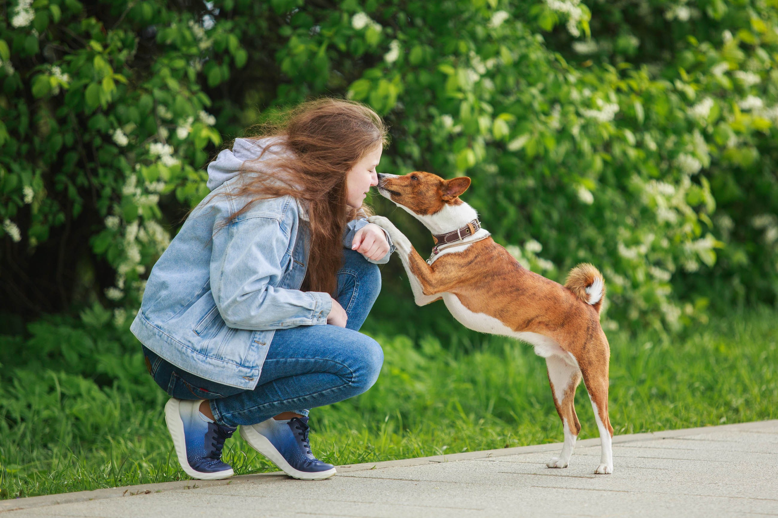 Собаки и их люди❤️. Семейный и детский фотограф в Москве Мария Быкова