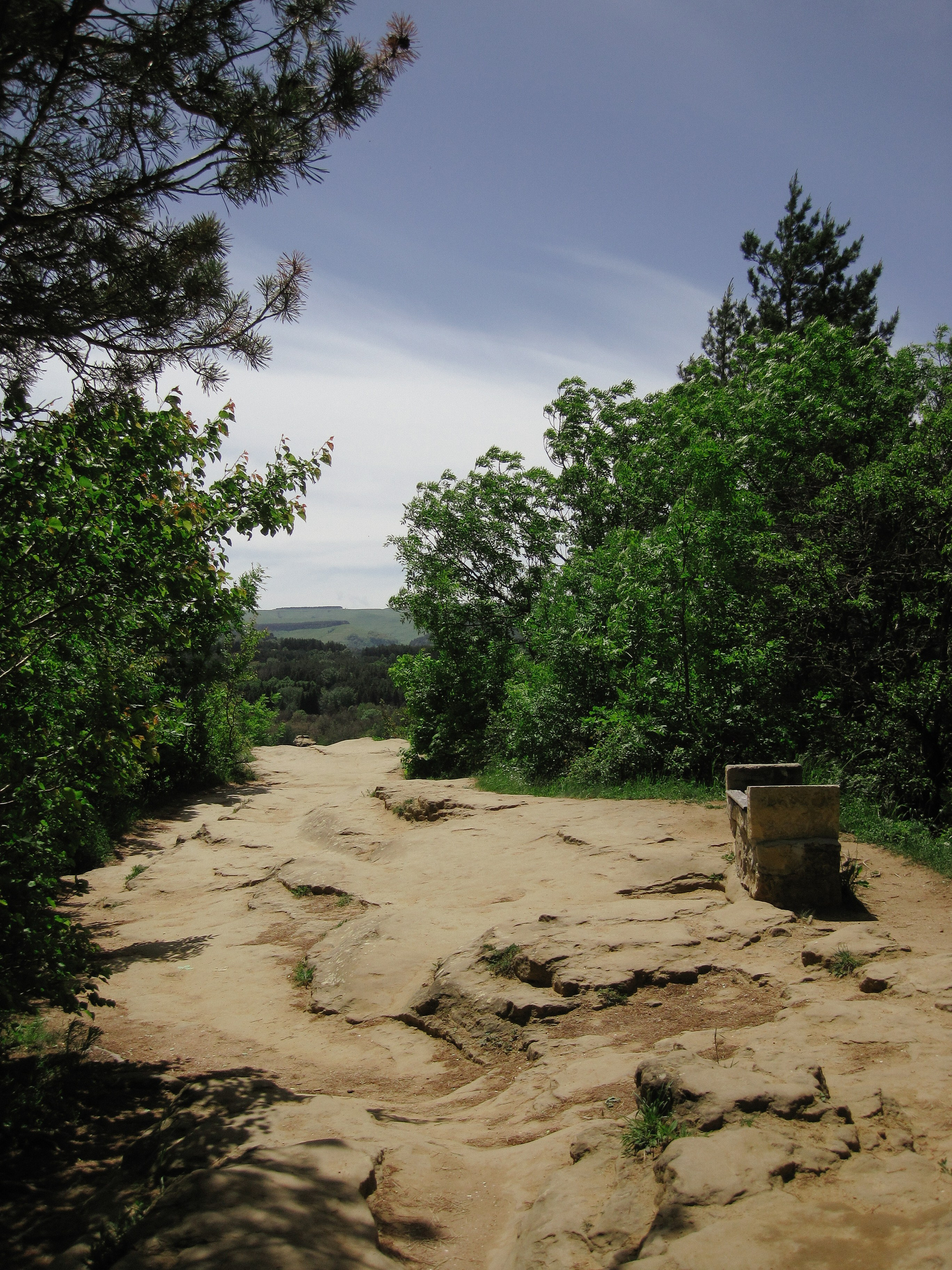 Жизнь. Фотограф Анастасия Чеботарева