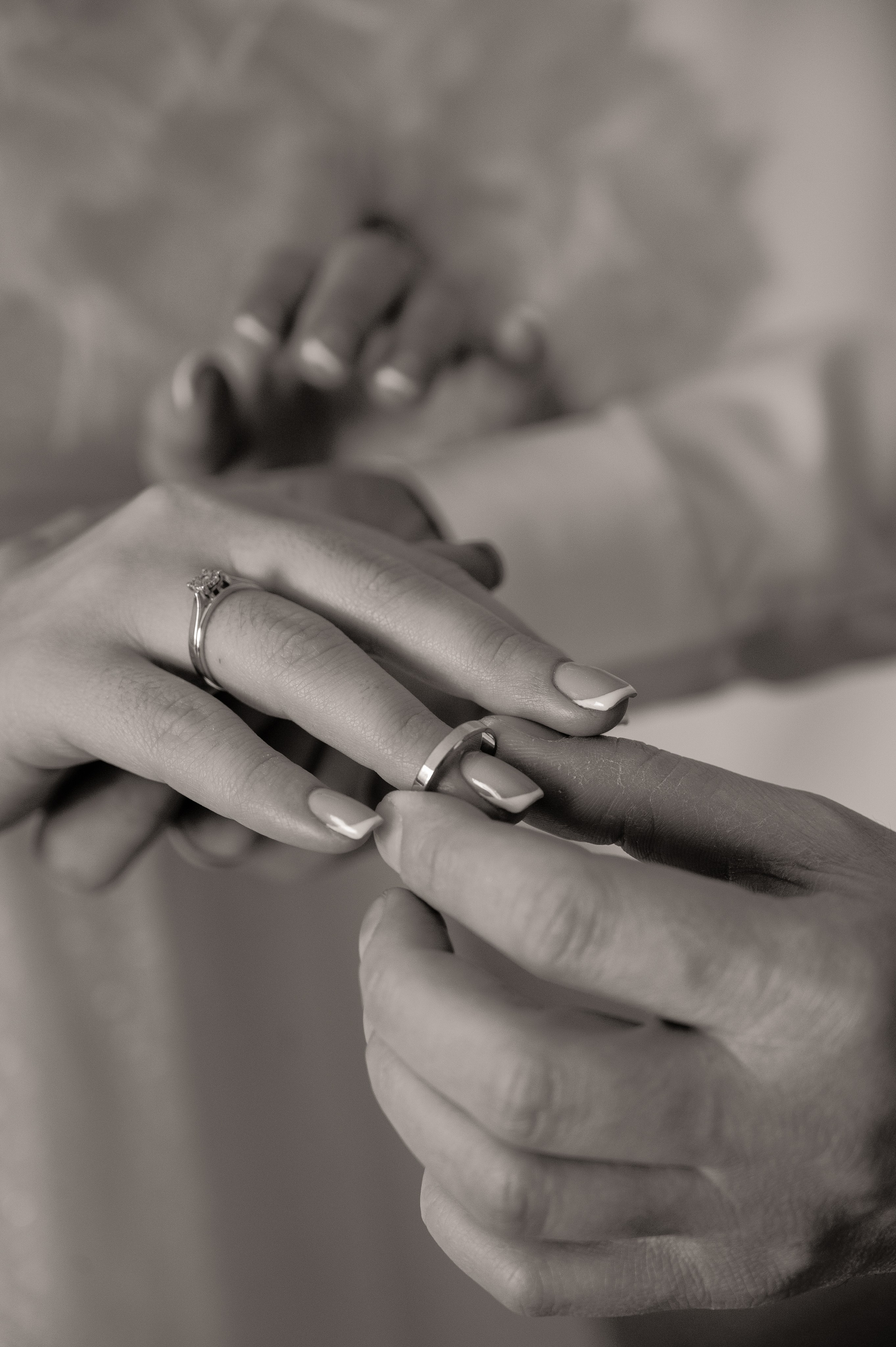 Аркадий и Алина. Свадебный и семейный фотограф в Краснодаре Алина Мельник