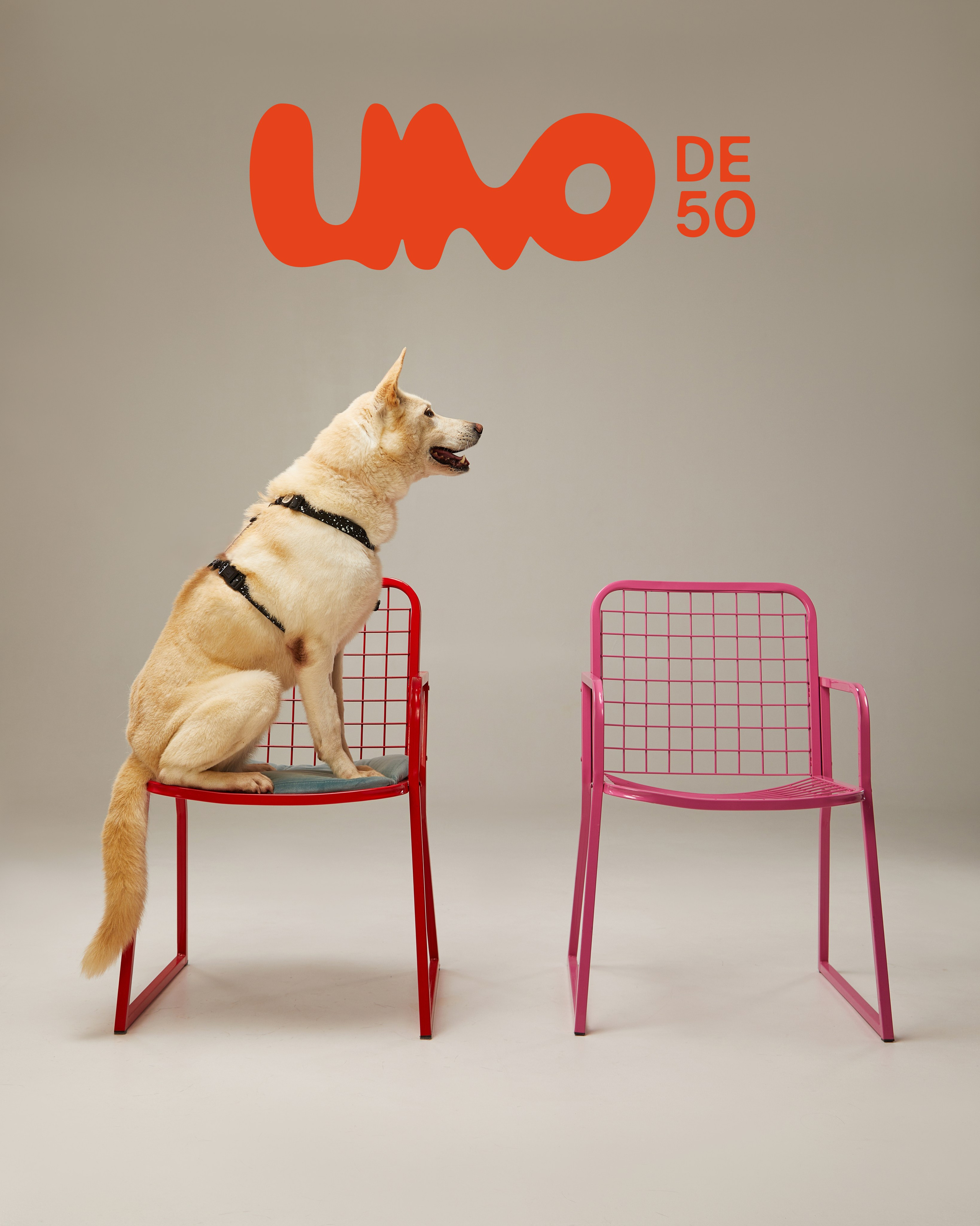 Фонд «Ника» и UNOde50. Pets Photography / Фотограф Собак